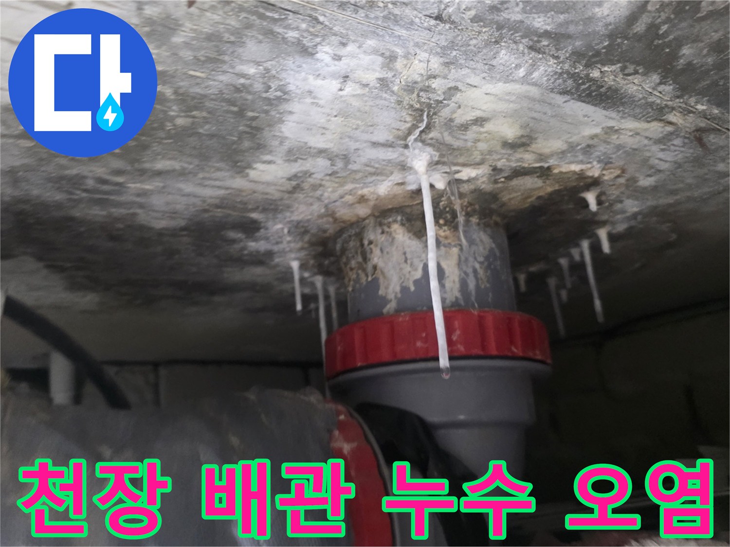 석회 성분이 굳어 하얗게 변한 천장 배관 주변
