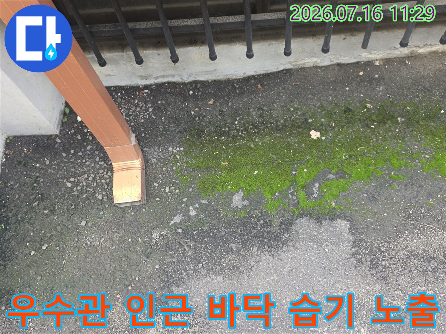 우수관과 벽체 하부의 습기로 인한 이끼 발생 현장