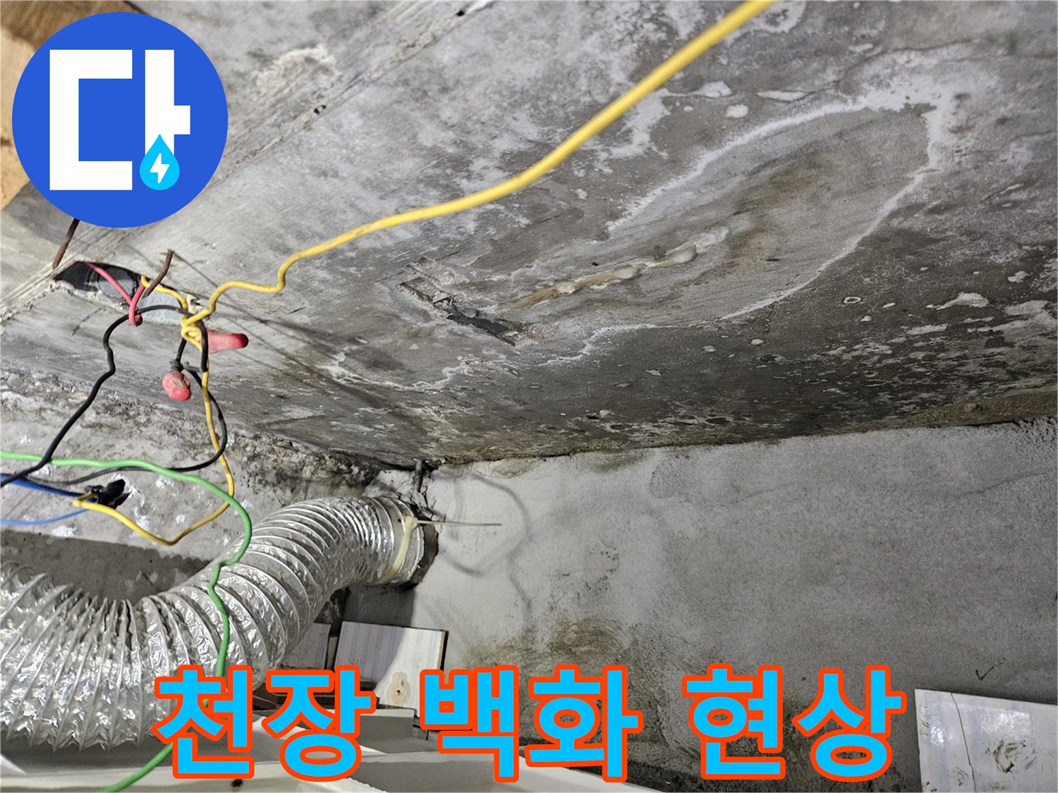 습기로 인해 하얗게 변한 콘크리트 천장 부위