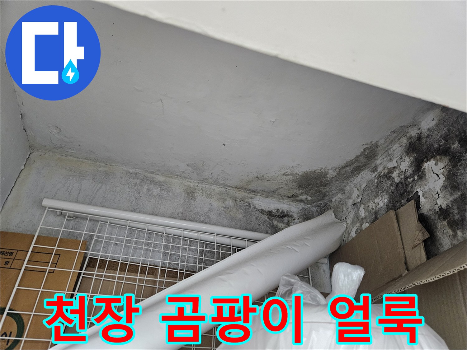 도봉구 아파트-천장 벽면의 검은 곰팡이와 습기 흔적