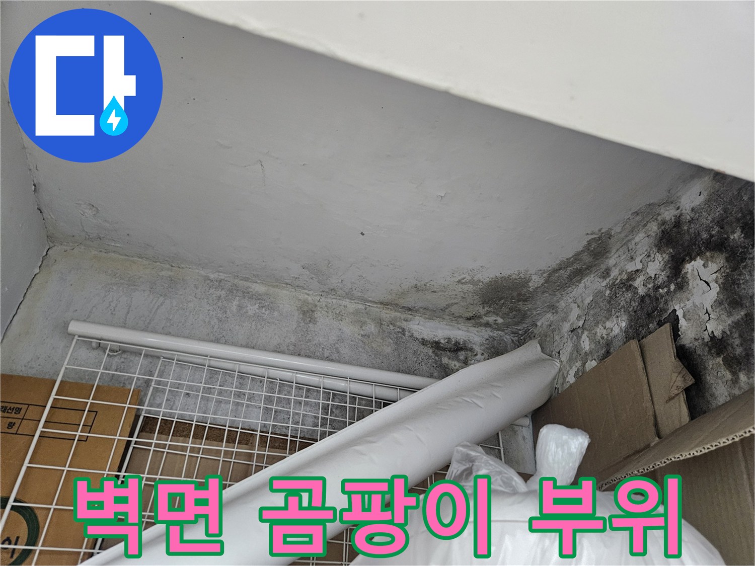 천장 경계면-심하게 오염된 벽면과 곰MS 곰팡이 상태