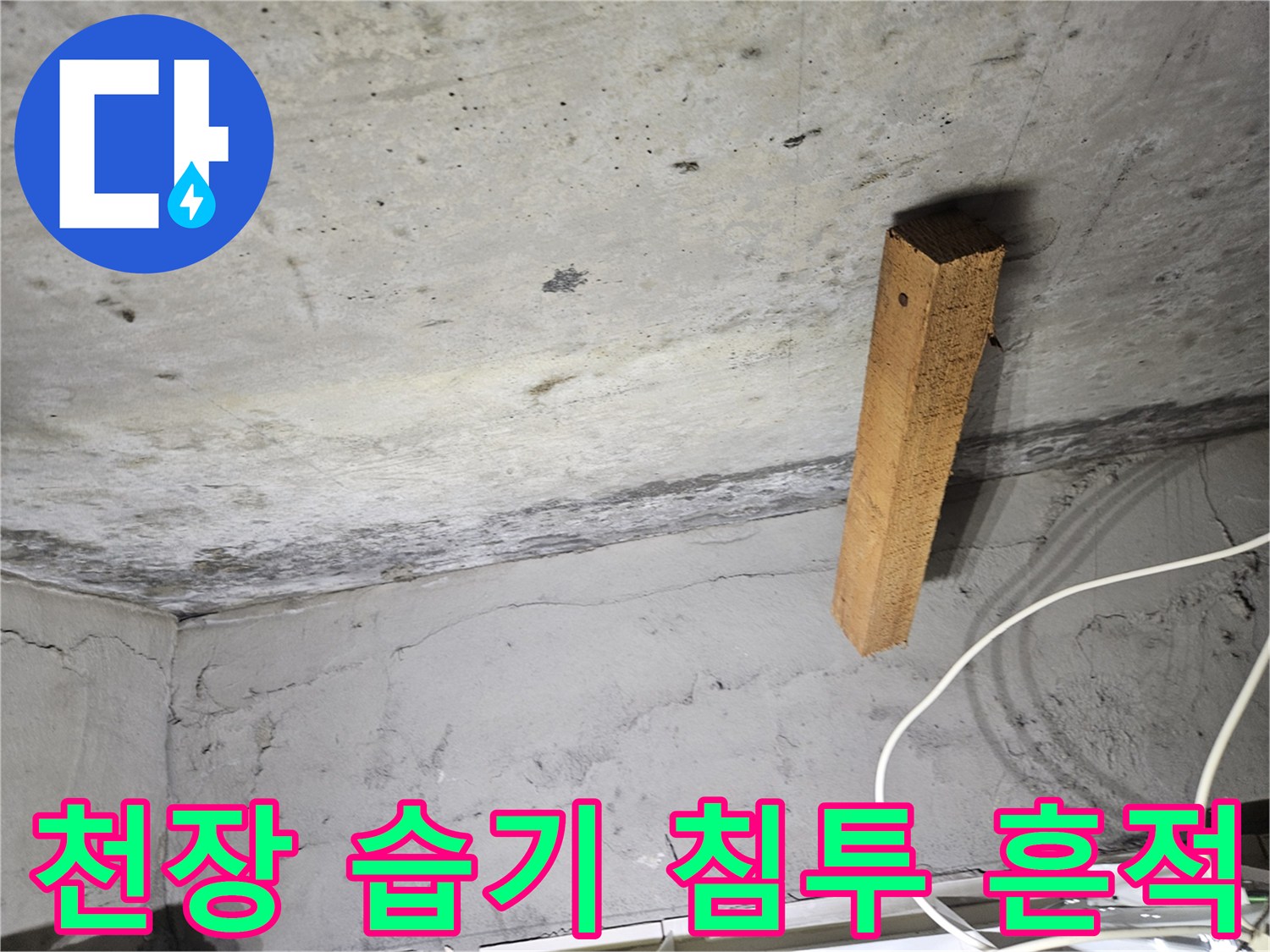 천장 콘크리트 면-누수 증상이 나타난 얼룩 부위