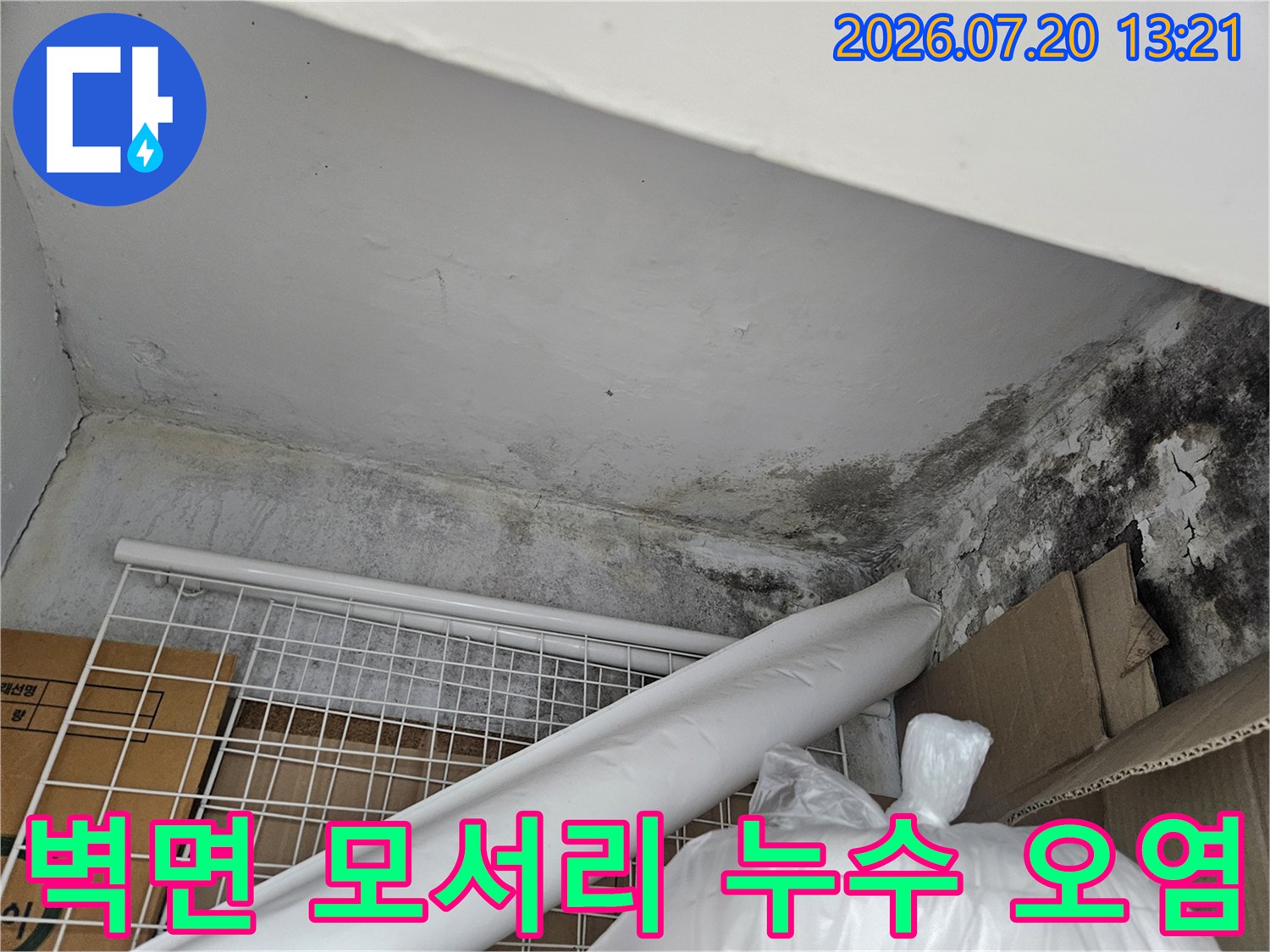 천장과 벽체 경계 부위의 짙은 색 곰팡이와 습기 피해 현황