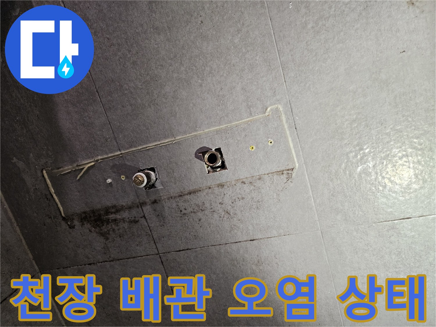 성남 중원구 화장실 천장 배관 주변의 곰팡이와 물때 오염 상태