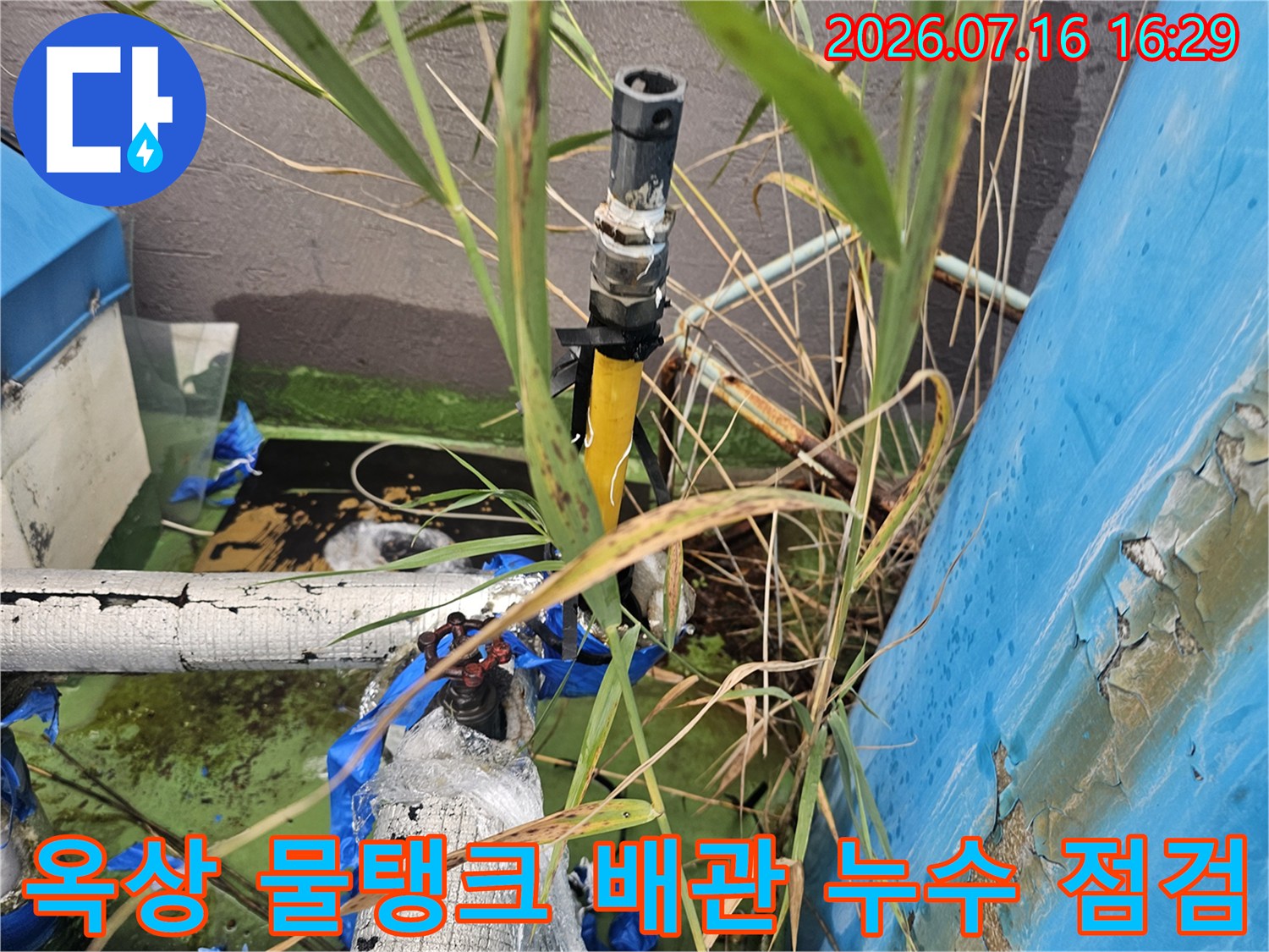 노출된 옥상 배관과 물탱크 연결부의 누수 흔적을 조사하는 장면