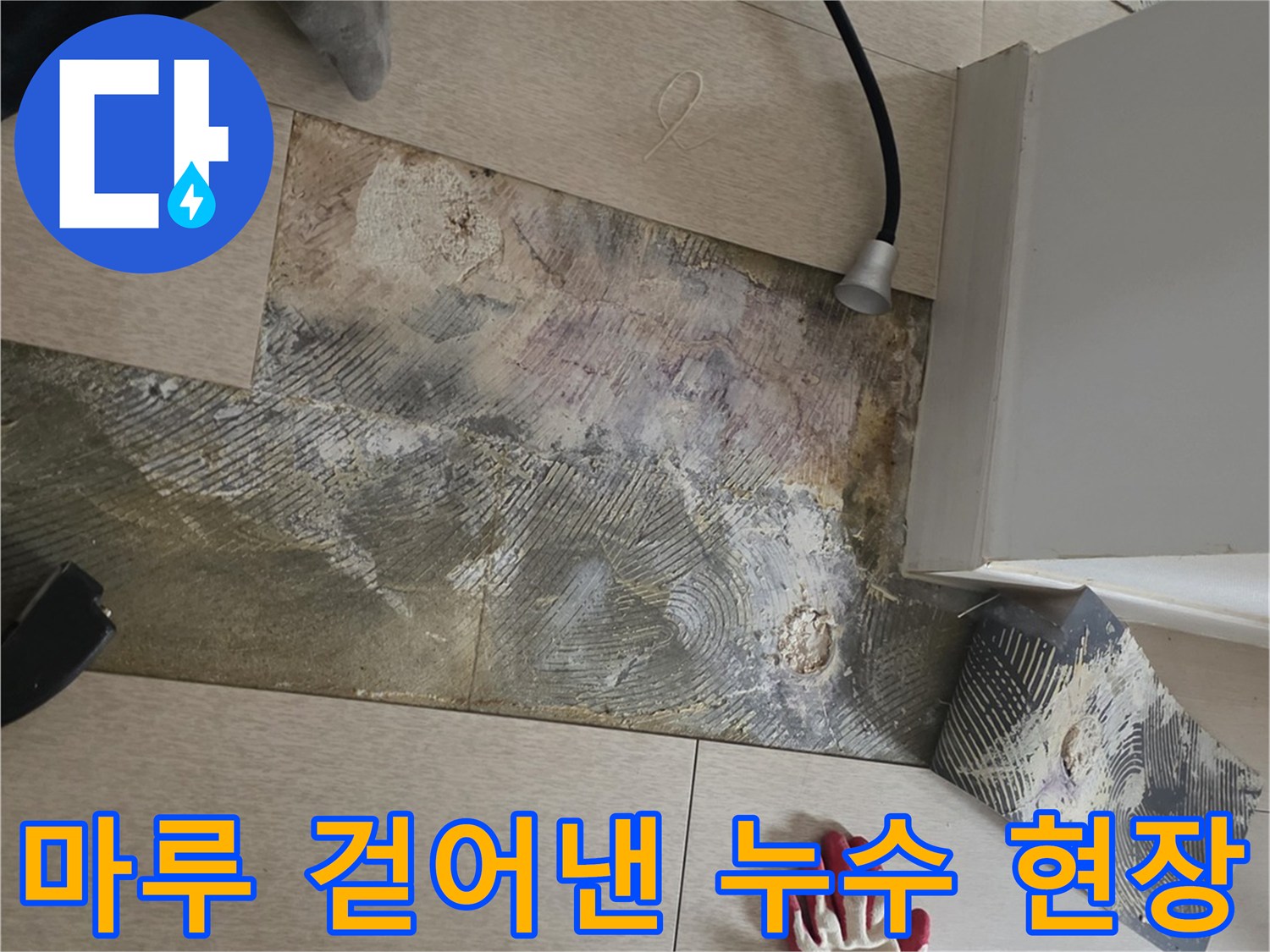 누수가 발생한 지점을 확인하기 위해 마루를 걷어낸 작업 모습
