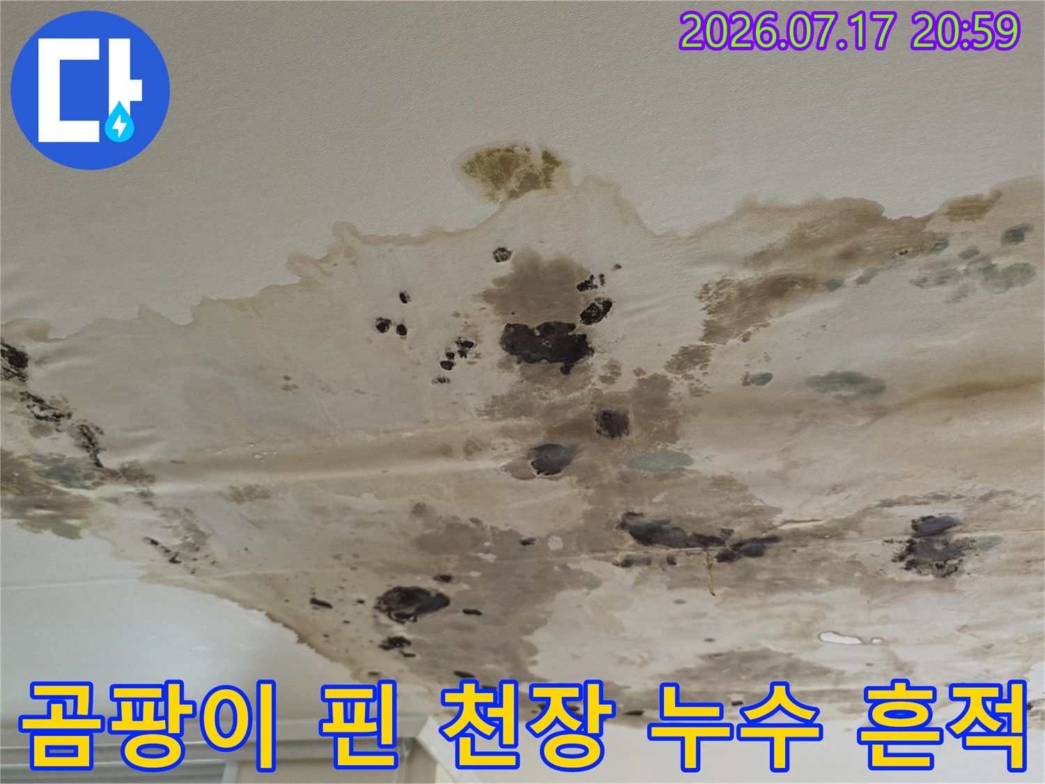 곰팡이가 번진 아파트 거실 천장 누수 피해 현장