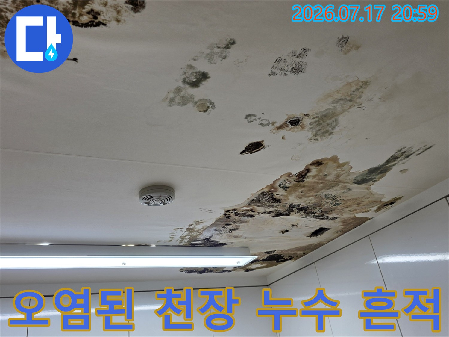 곰팡이와 얼룩으로 오염된 아파트 천장 모습