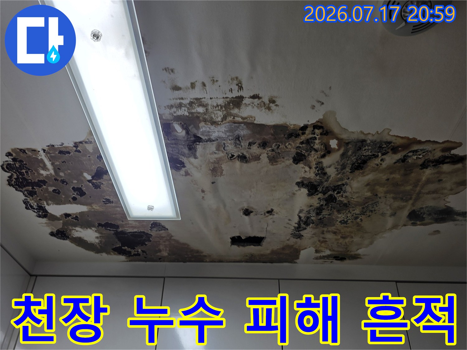 누수로 인해 오염된 아파트 천장과 조명 기구 주변의 얼룩