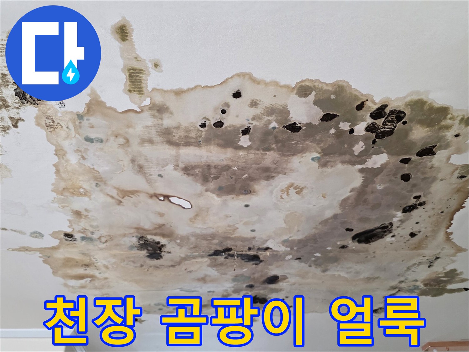 심각하게-번진-천장-의-곰팡이와-물자국