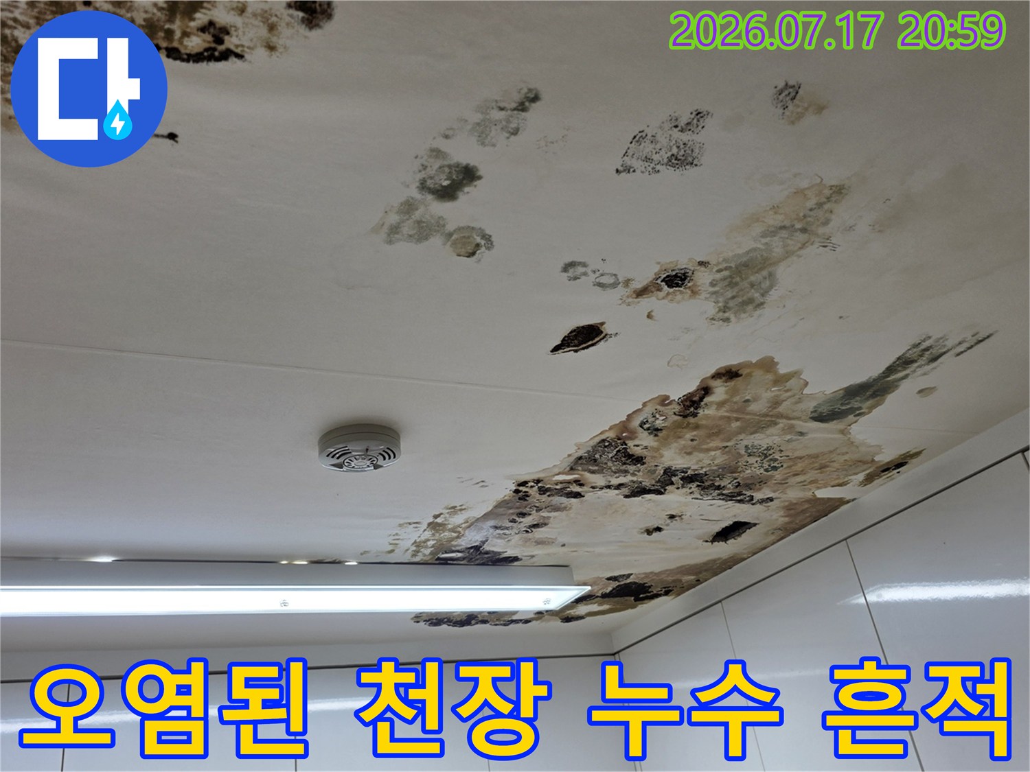 아파트 천장에 발생한 누수로 인한 곰팡이와 물때 오염 흔적