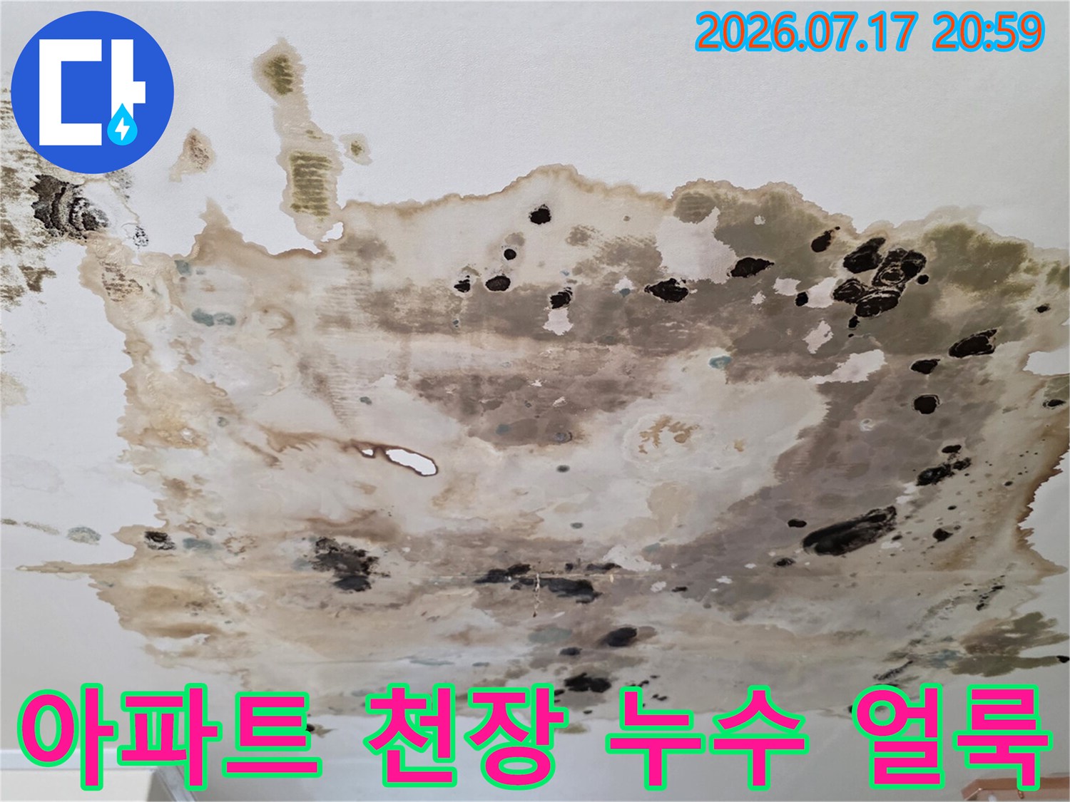 윗집 배관 문제로 인해 아래층 천장에 발생한 누수 흔적과 곰팡이 오염 상태