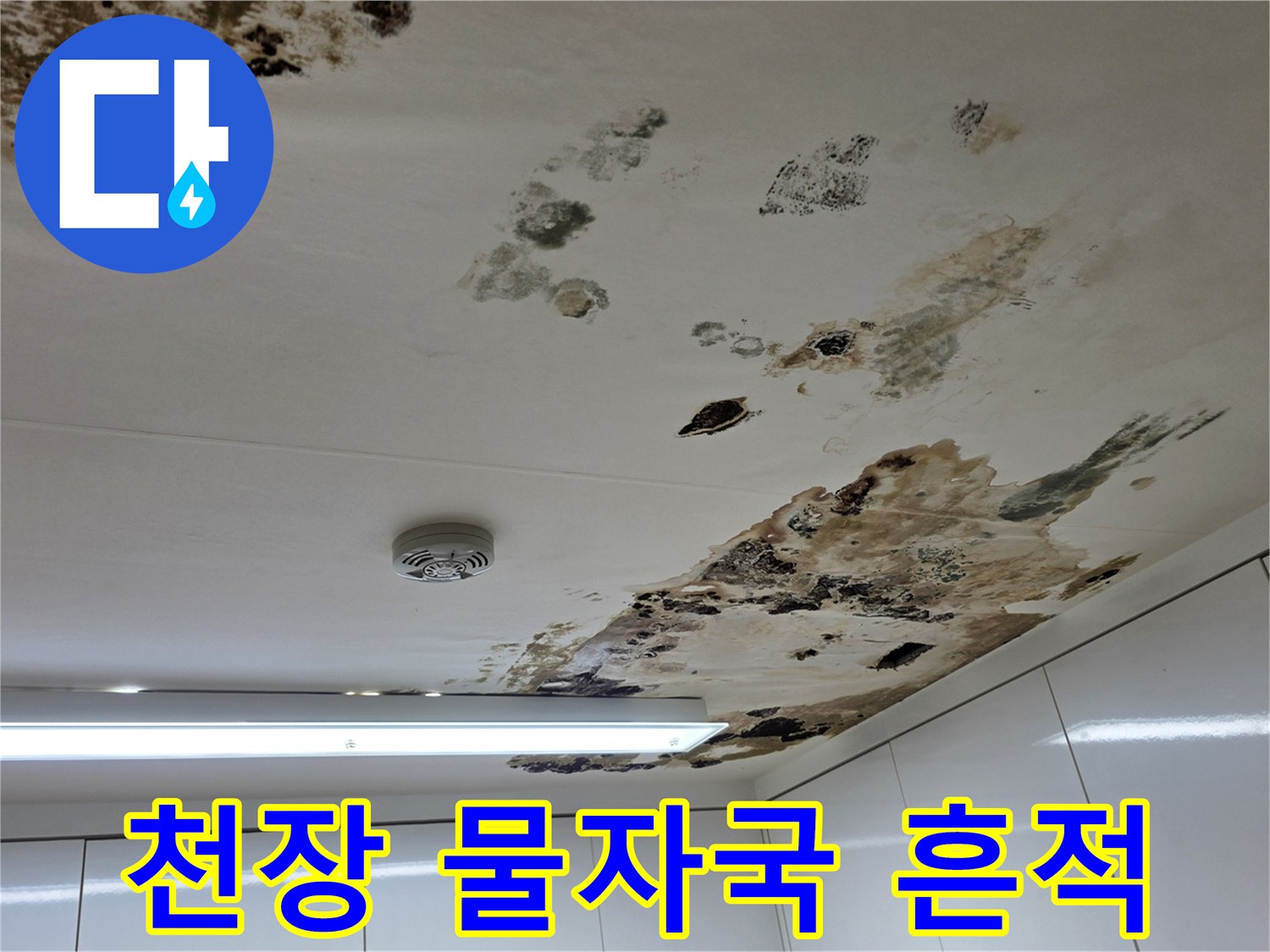 천장-마감재에-남은-심각한-물샘-흔적과-오염