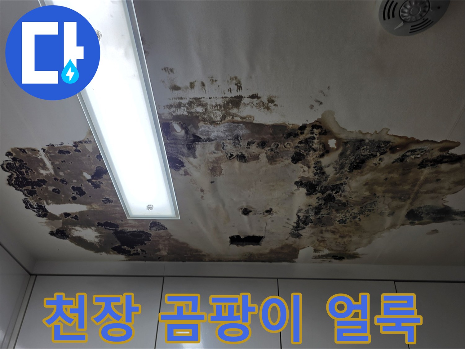 천장-패널-부위의-심한-곰팡이와-누수-흔적