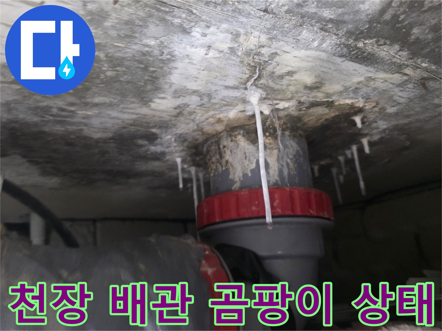 화장실-천장-배관-주변-곰팡이와-습기-상태