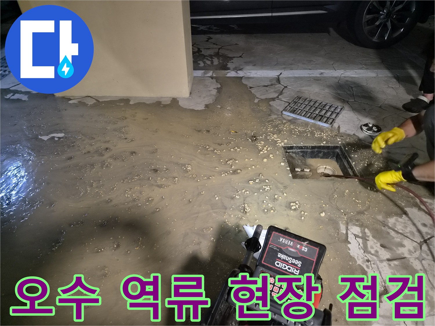 배수구-주변의-심한-오수-역류-상황
