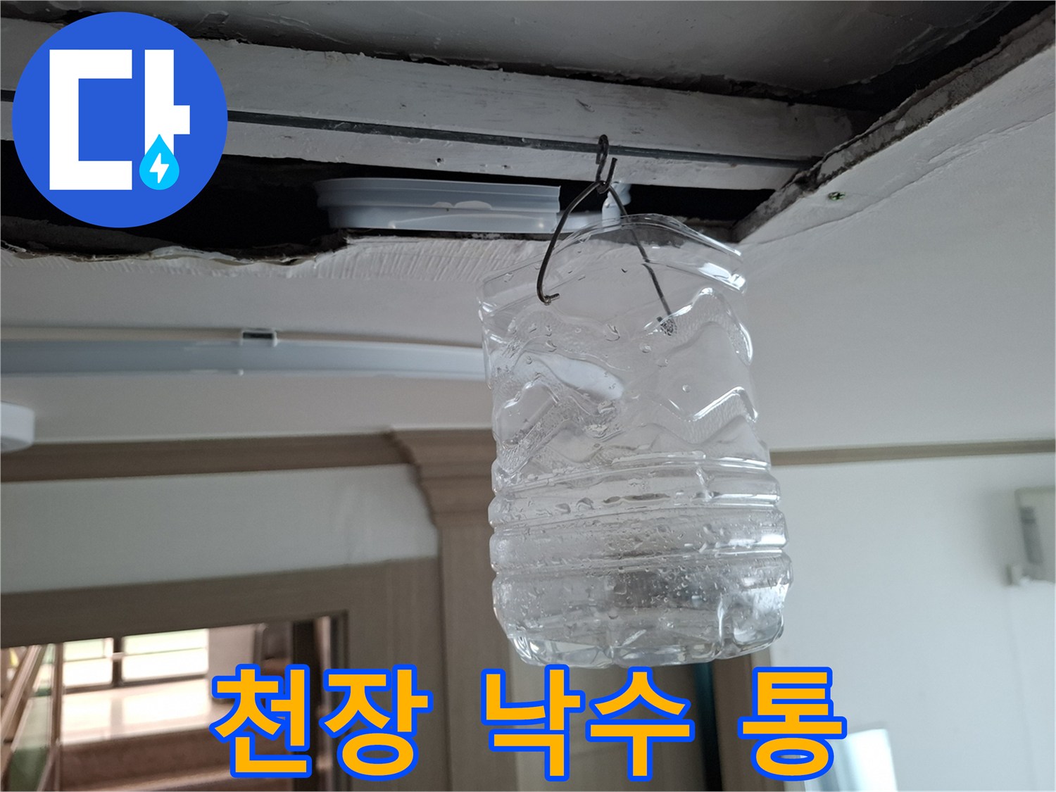 천장에서 떨어지는 물을 받기 위해 설치된 투명한 용기