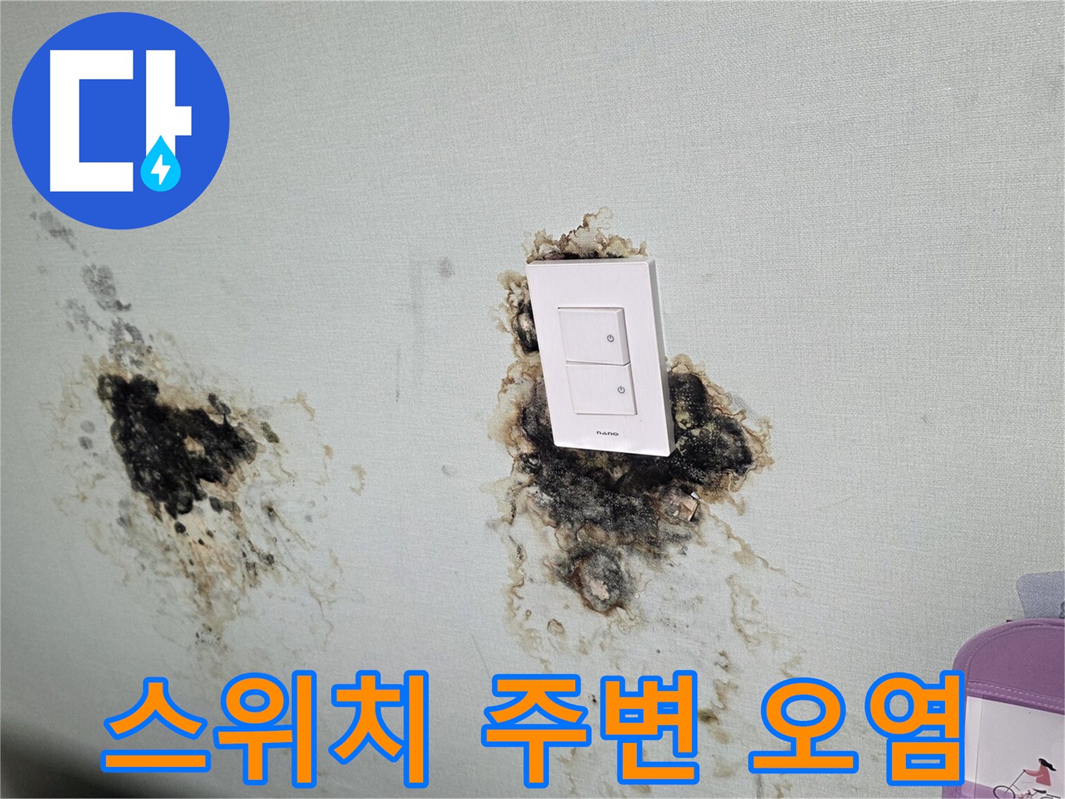 벽면 스위치 부근-검은 곰팡이와 물샘 흔적 발견