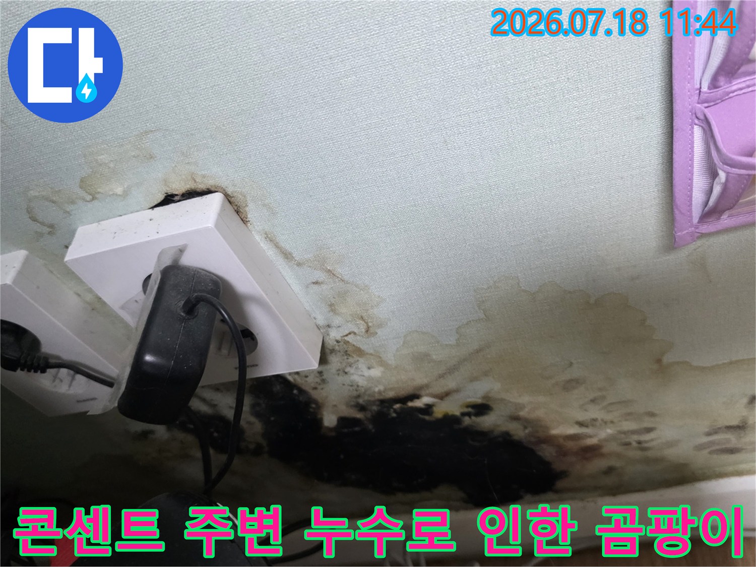 화장실 입구 천장의 배관 부근에 발생한 대규모 곰팡이와 습기 흔적