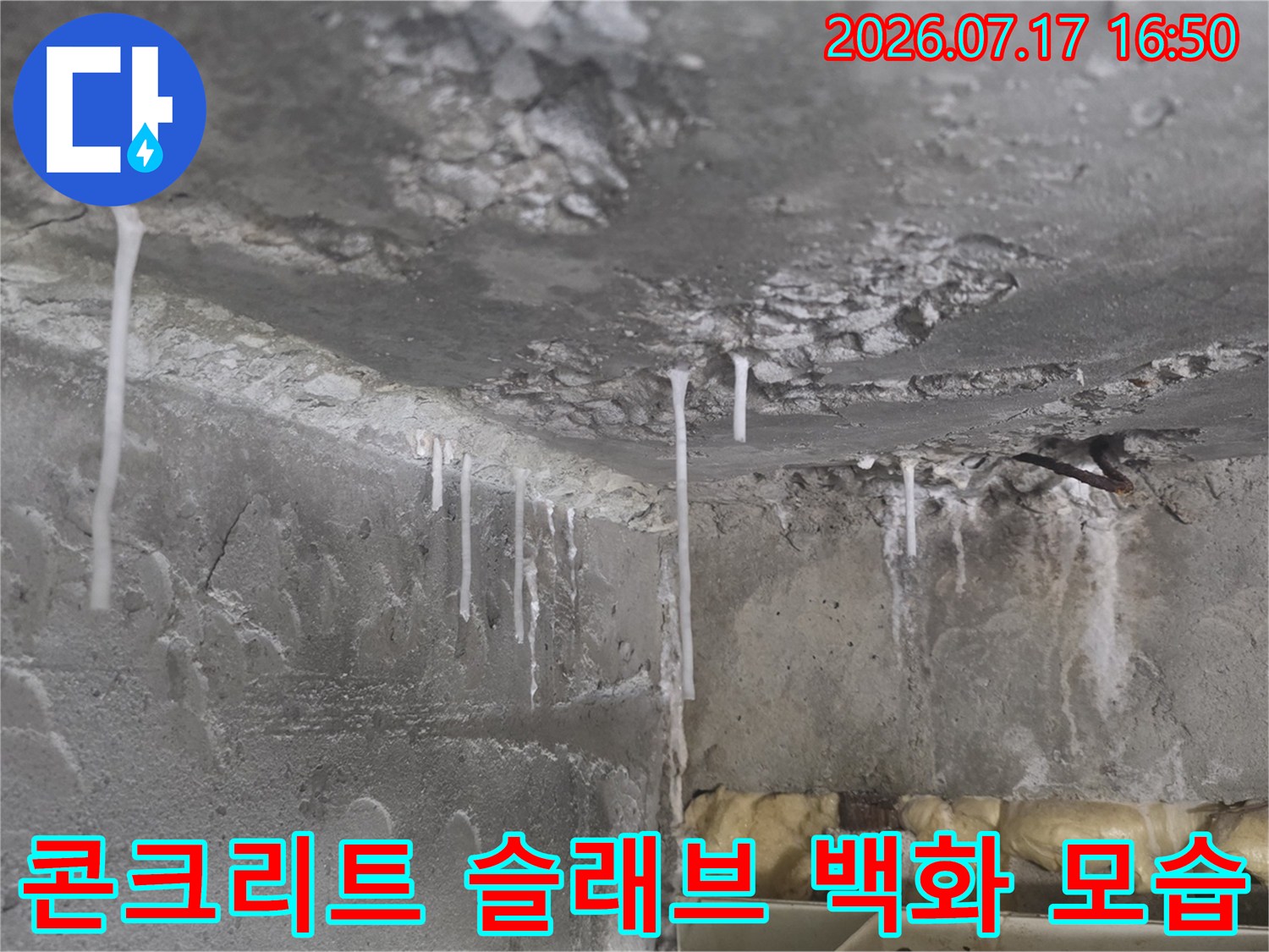 누수로 인해 콘크리트 천장에서 하얀 석회질이 흘러내려 굳어 있는 상태
