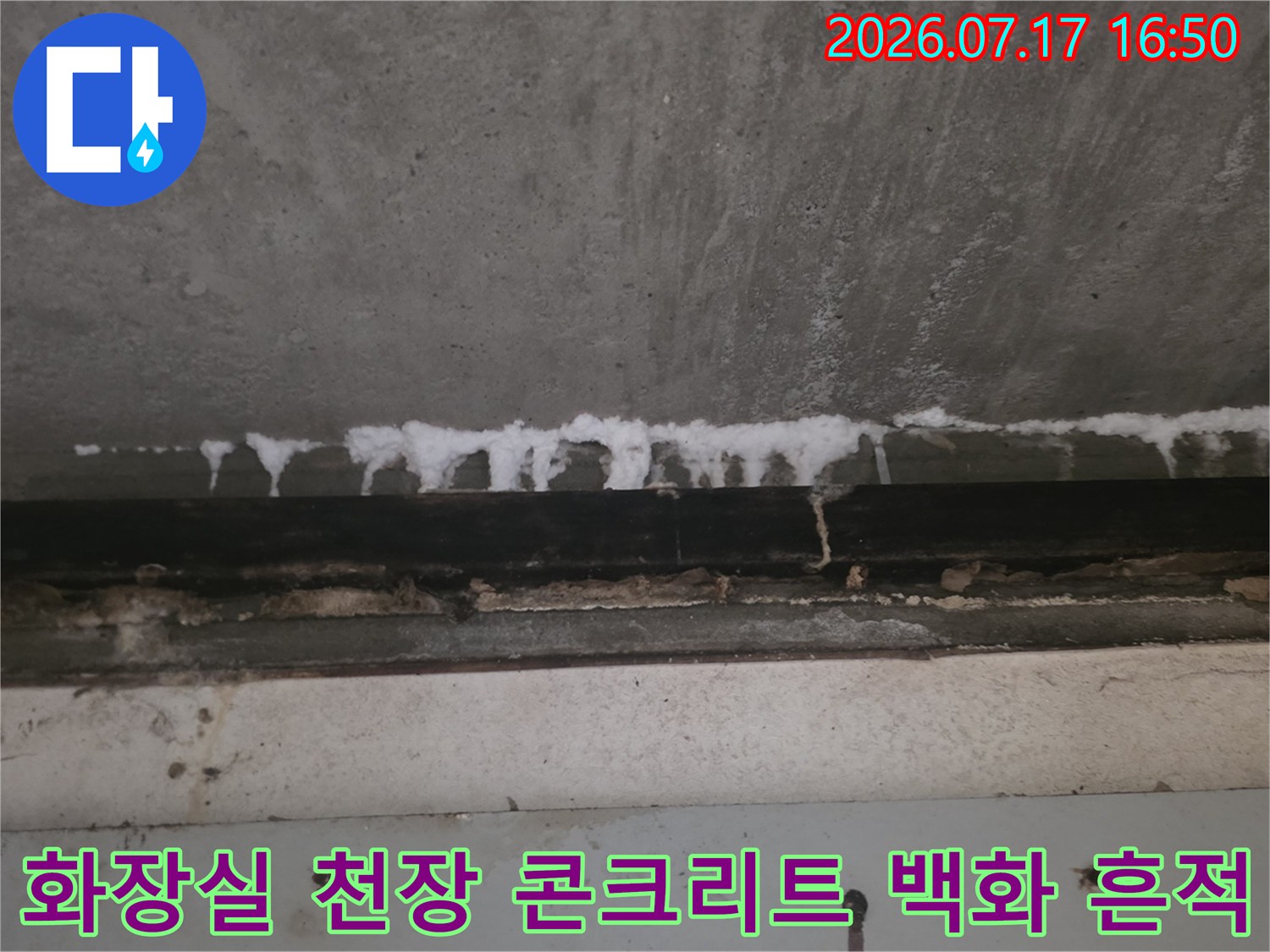 화장실-천장-콘크리트-슬래브에-하얗게-맺힌-백화현상-사진