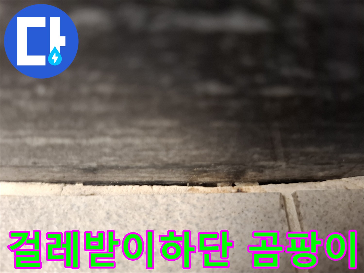 거실-걸레받이-아래쪽-벽면-틈새로-스며든-누수로-인한-곰팡이-상태