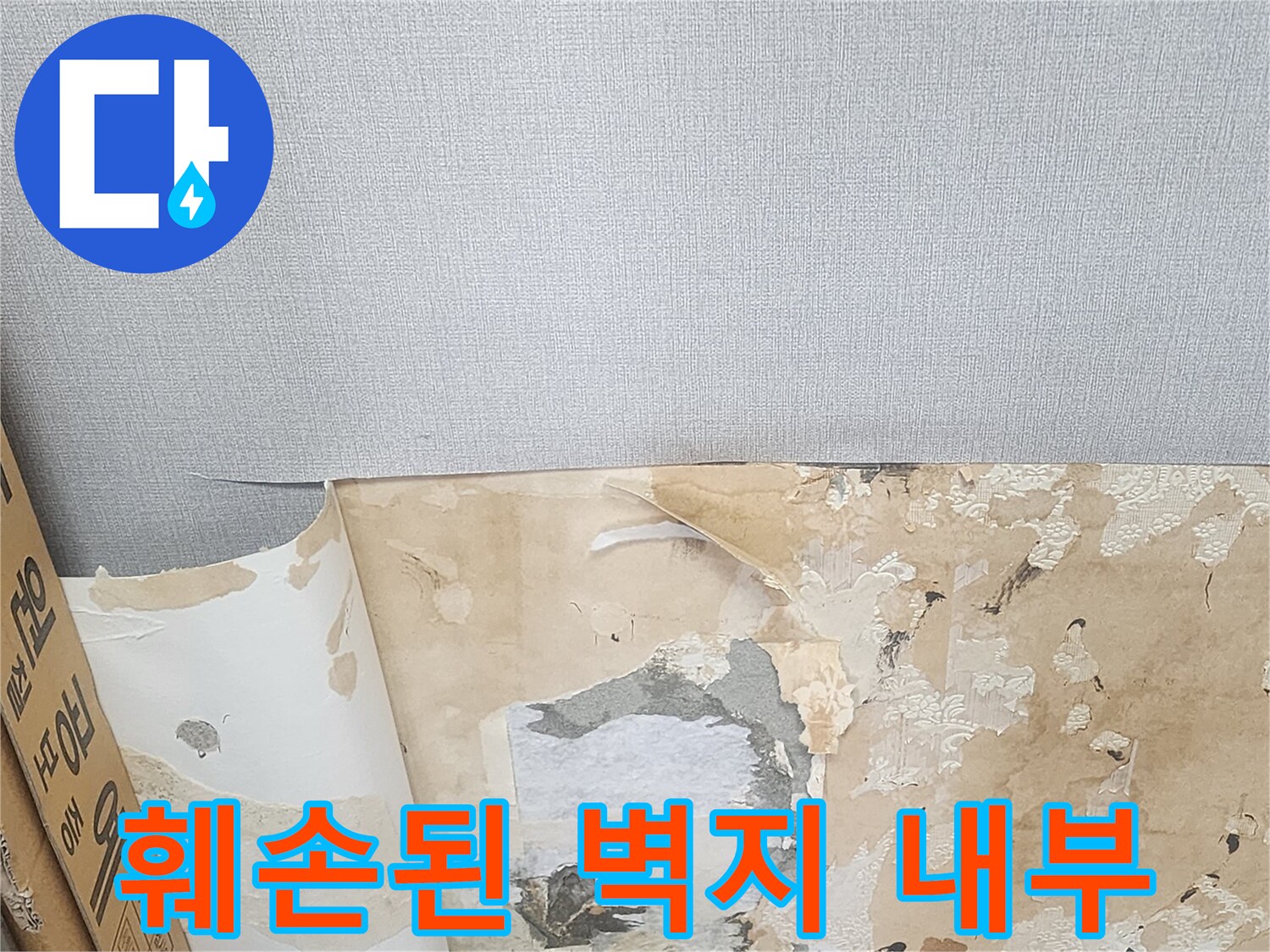 물샘으로 인해 젖고 들뜬 벽지의 상세 모습