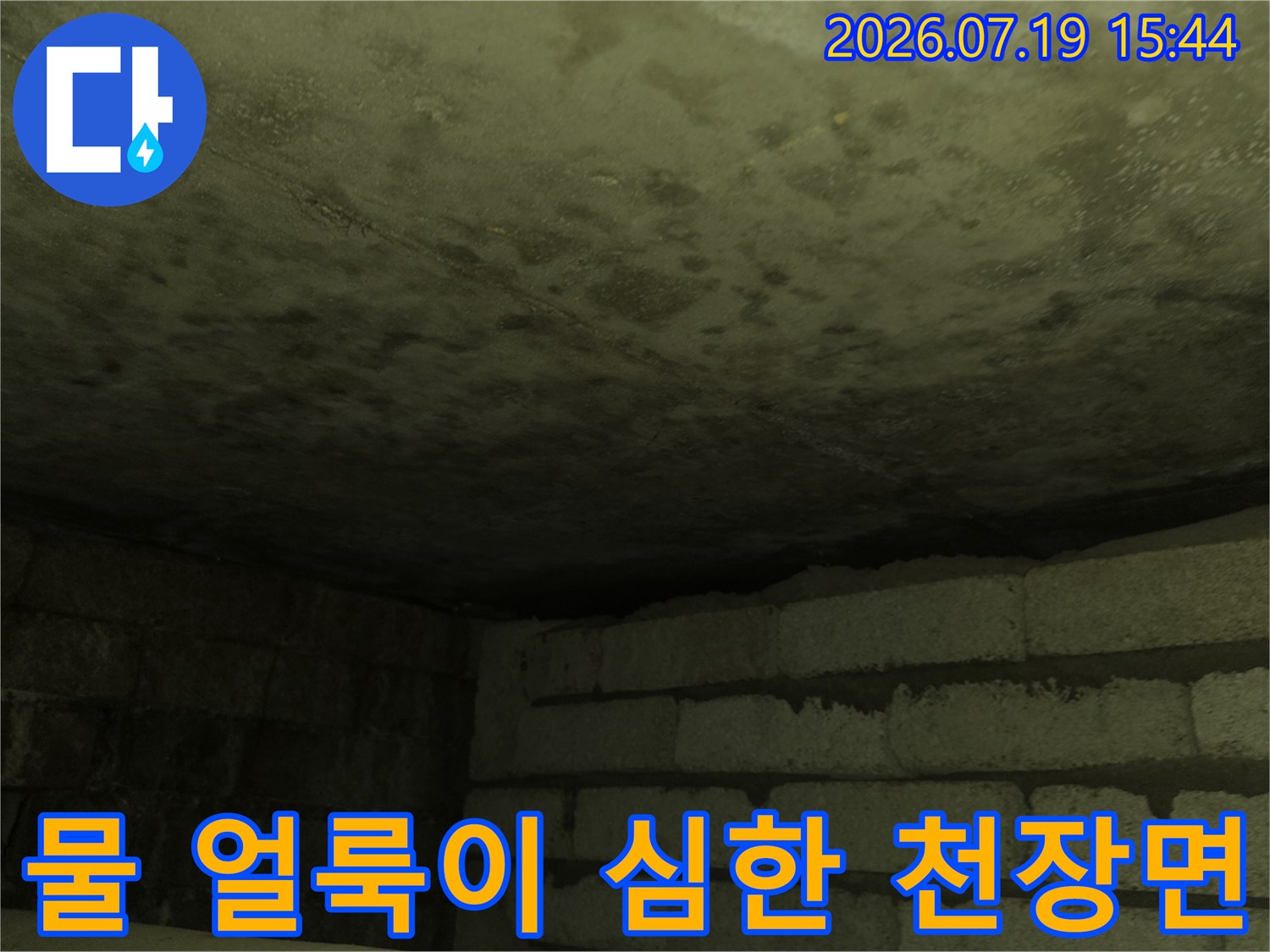 습기와-누수로-인해-콘크리트-표면에-짙은-색상의-얼룩과-곰팡이가-퍼져있는-천장-사진