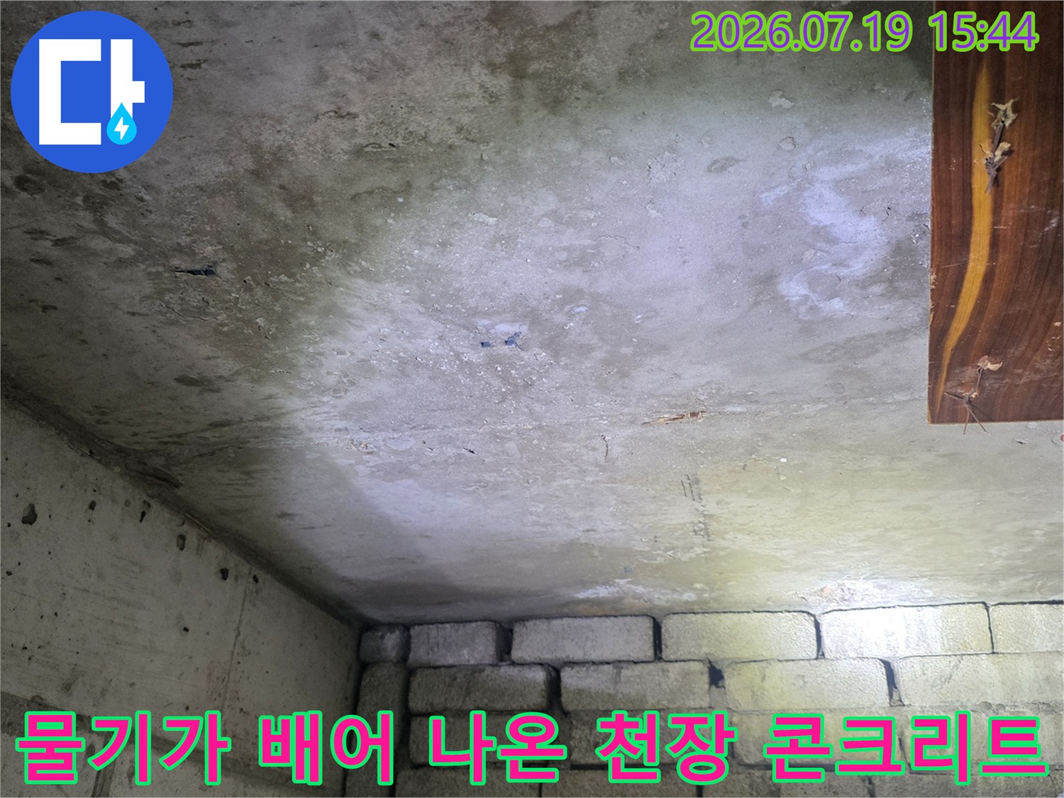 화장실 상부 콘크리트 슬래브에 습기와 누수 얼룩이 넓게 퍼져 있는 상태의 사진