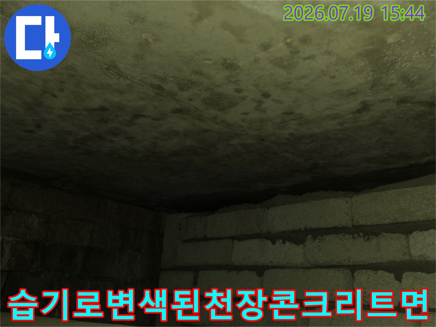 화장실 천장의 콘크리트 슬래브가 물에 젖어 어둡게 변하고 얼룩이 생긴 모습