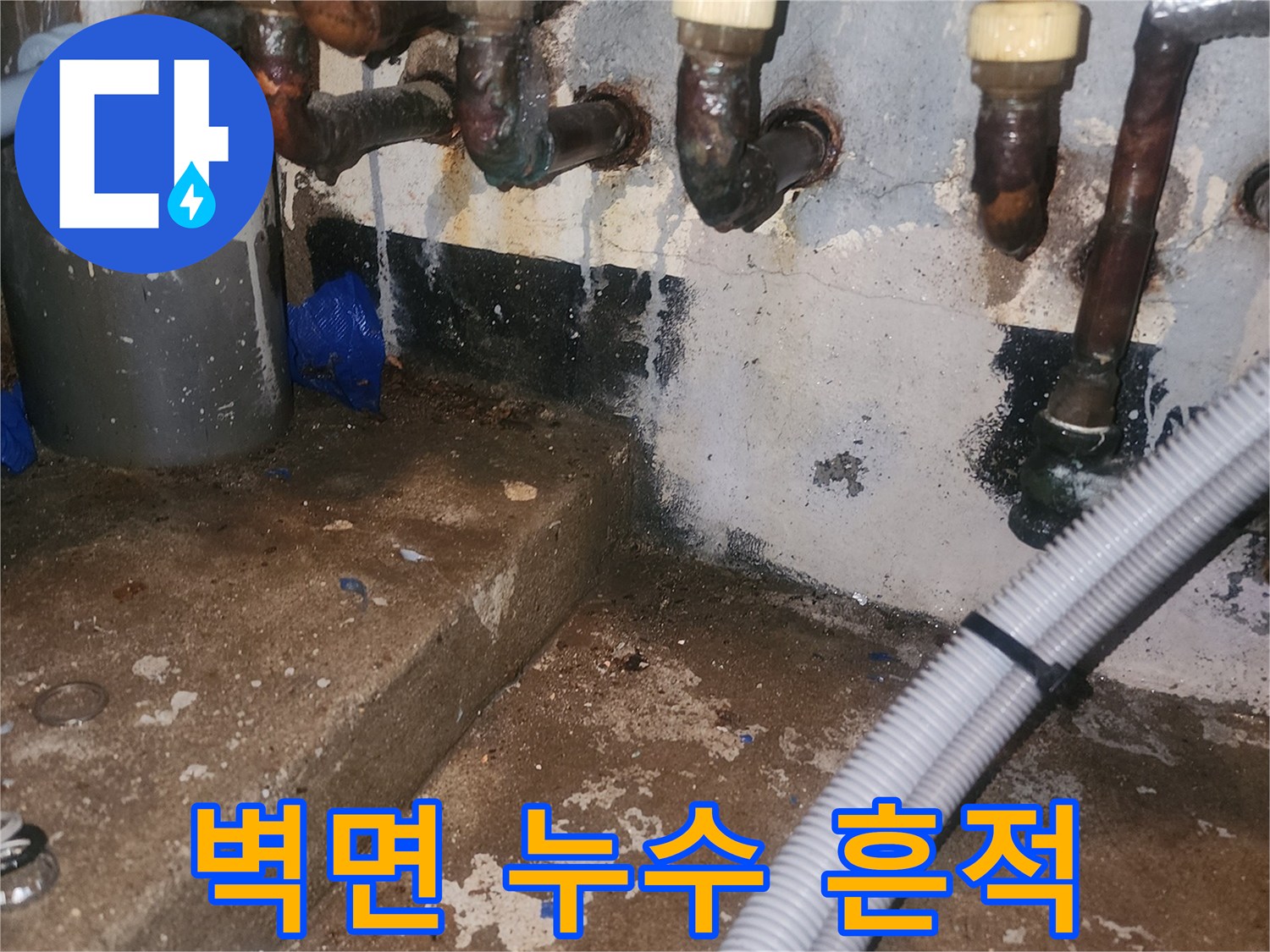 분배기 배관 주변의 검은 곰팡이와 습기로 오염된 벽면 상태