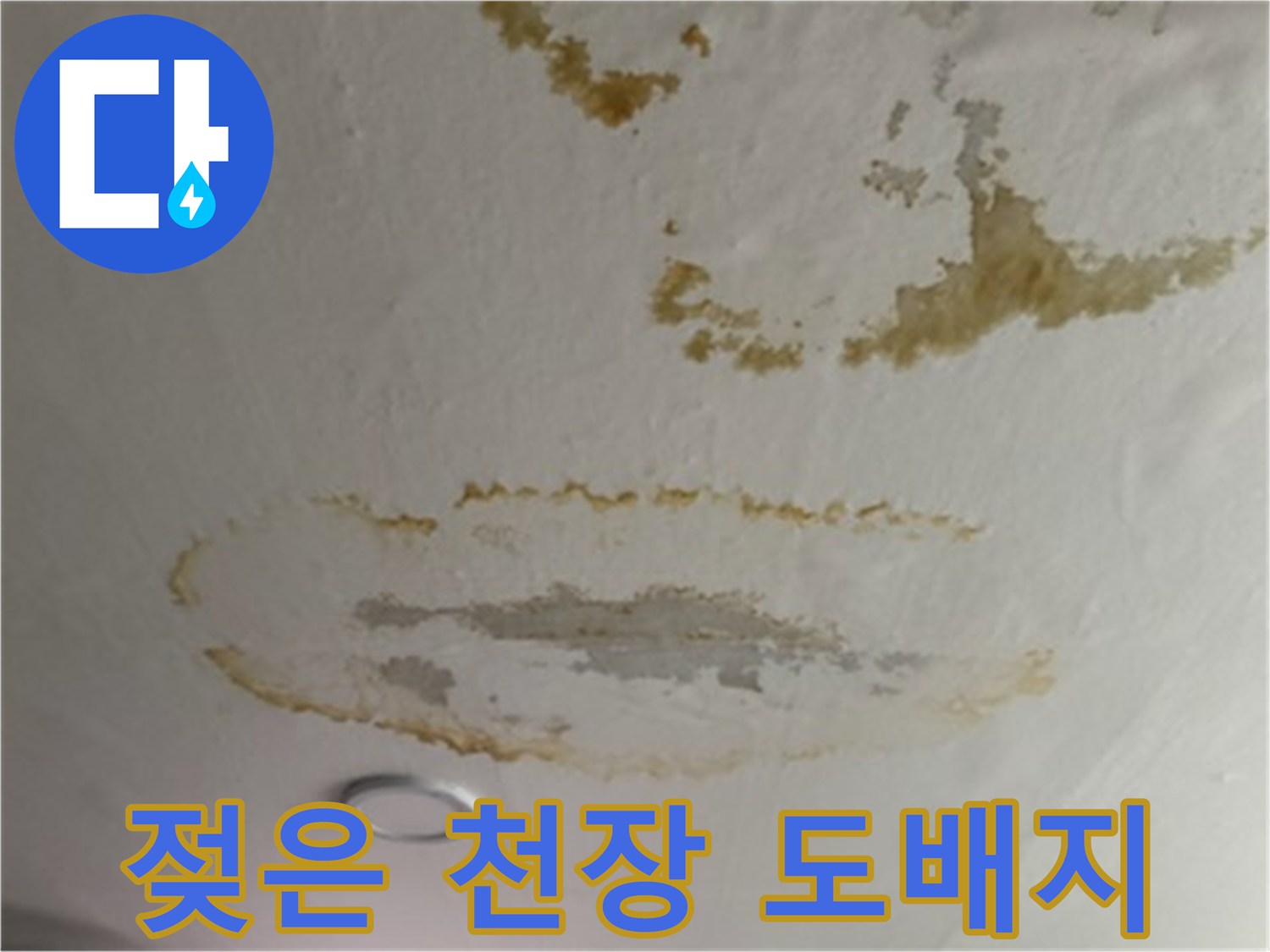 천장 벽지가 물에 젖어 갈색으로 변한 모습 - 누수 지점 식별
