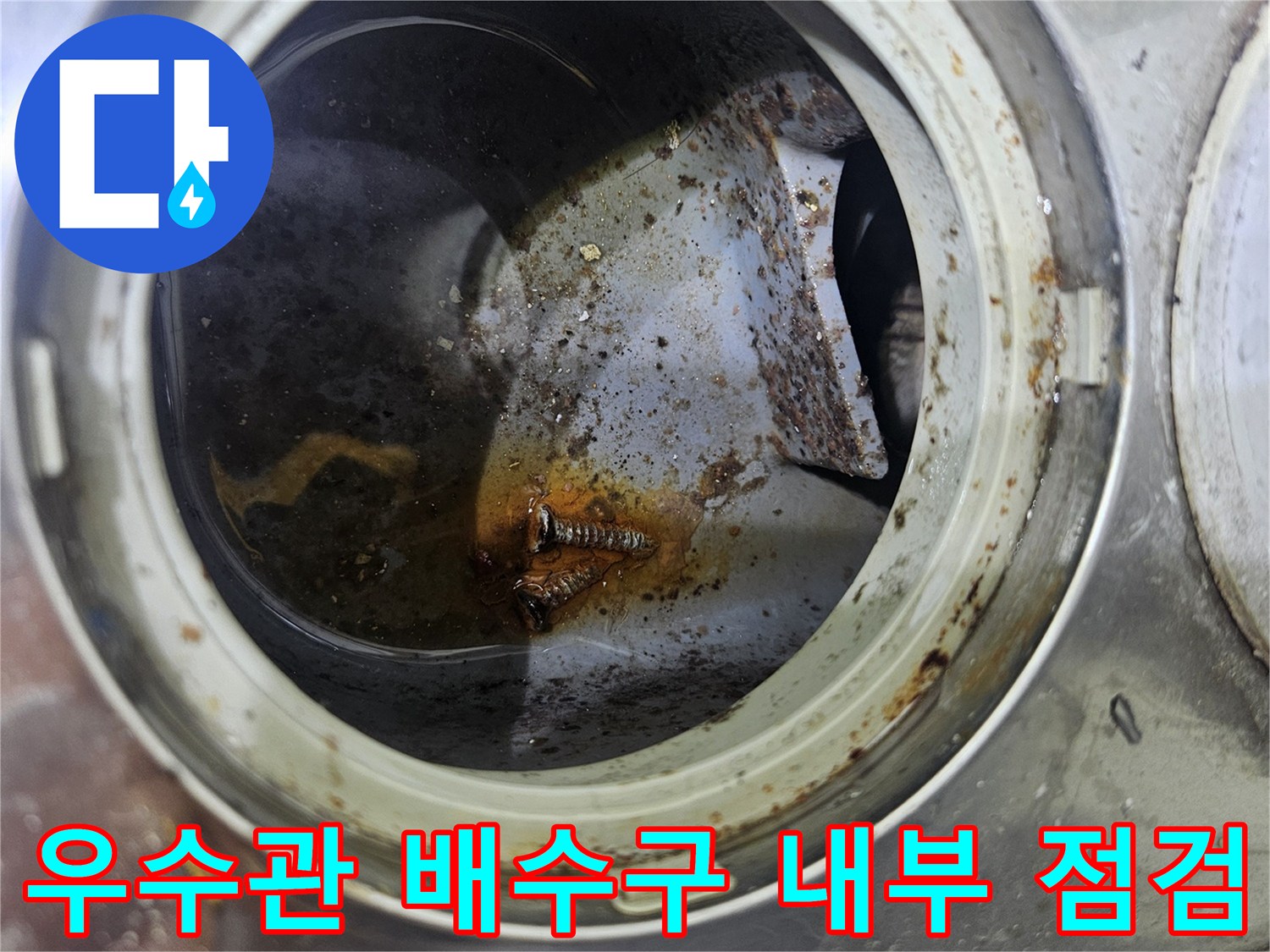 우수관-입구-주변의-오염된-물과-배관-내부-모습