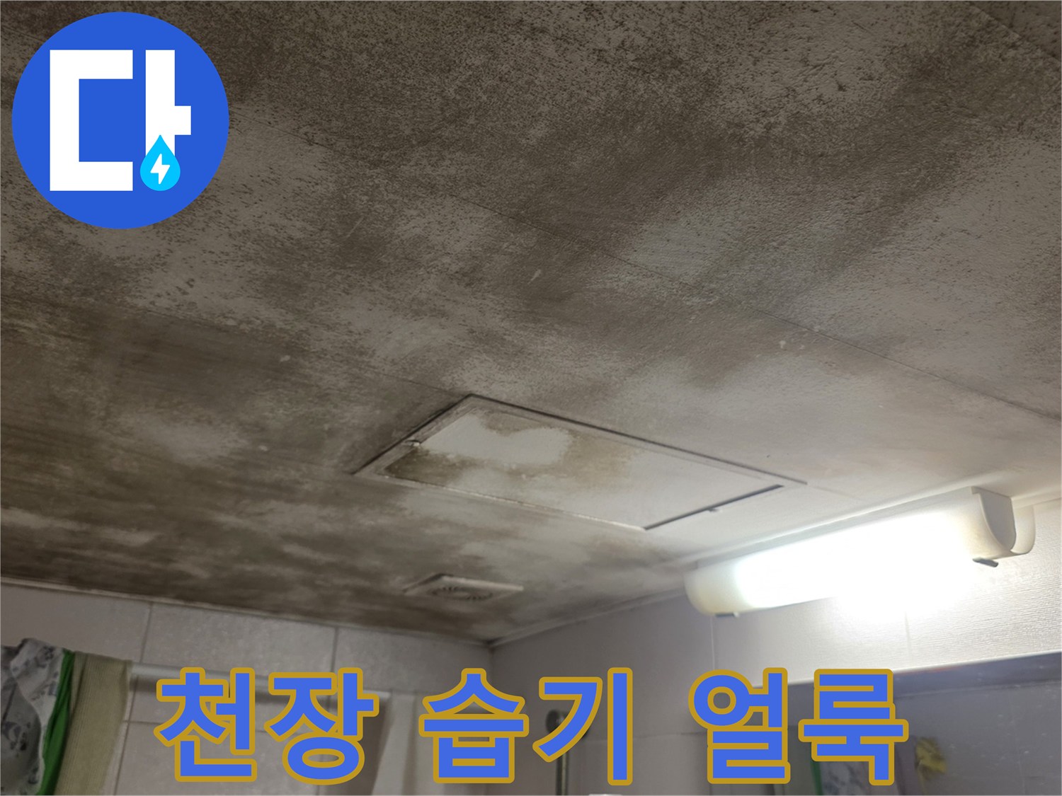 넓게 번진 수분 침투 흔적과 점검구 주변의 변색