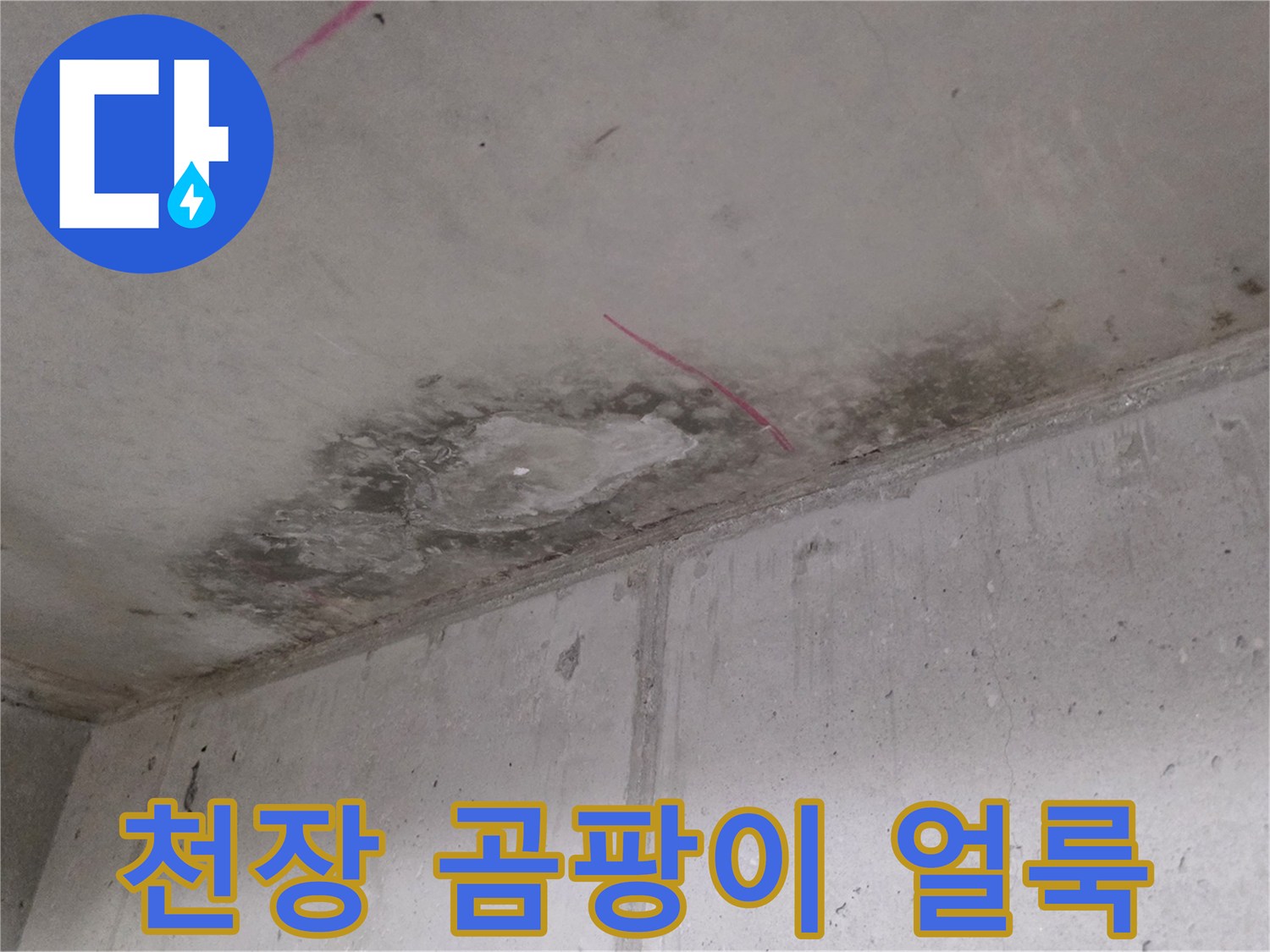 누수로 발생한 천장 곰팡이와 습기 흔적