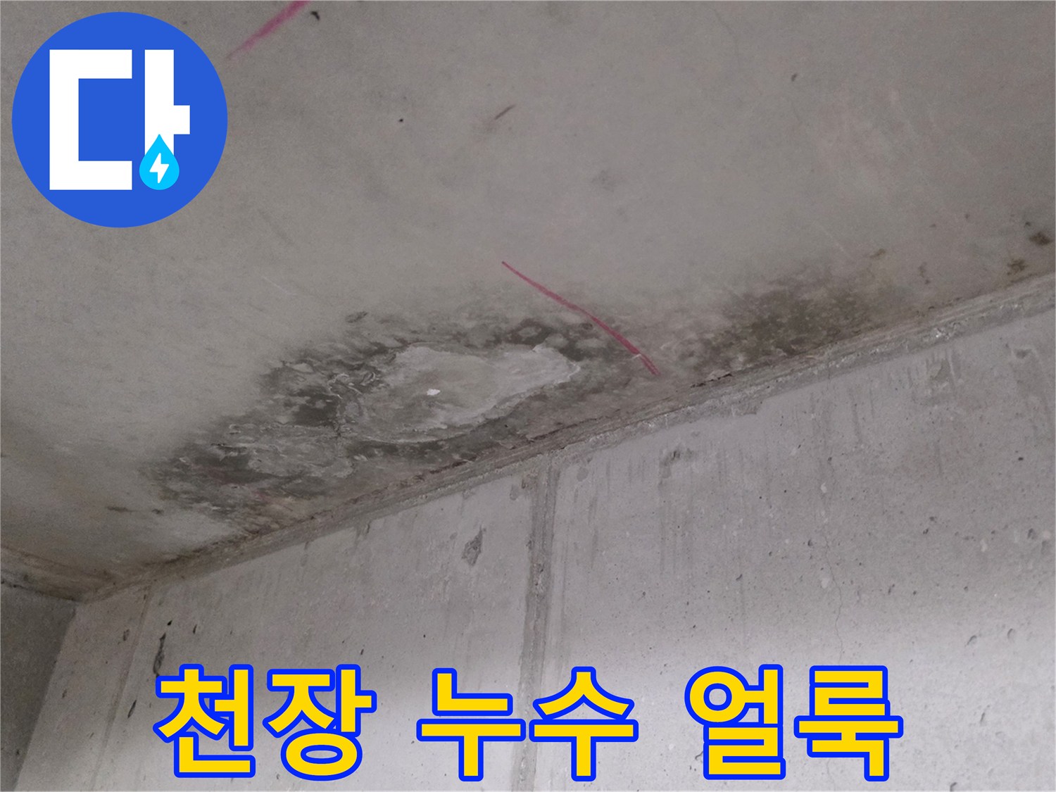 천장 마감재에-발생한 넓은 범위의 물자국과 변색 부위