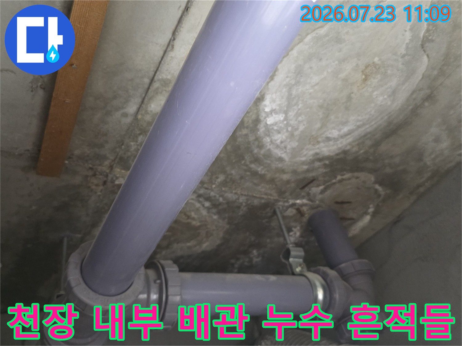 천장에 설치된 보라색 pvc 파이프-주변 콘크리트가 젖어 있고 얼룩진 모습
