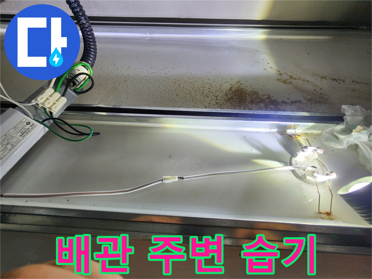 배관-주변의-누수-흔적과-습윤한-상태
