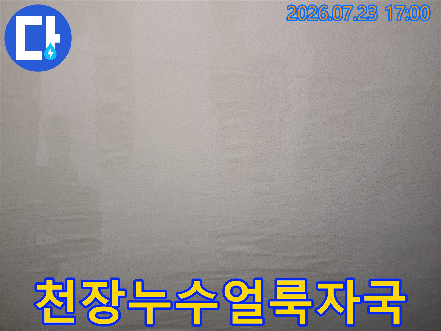거실 천장에 발생한 누수로 인한 물 얼룩-습기 흔적 사진