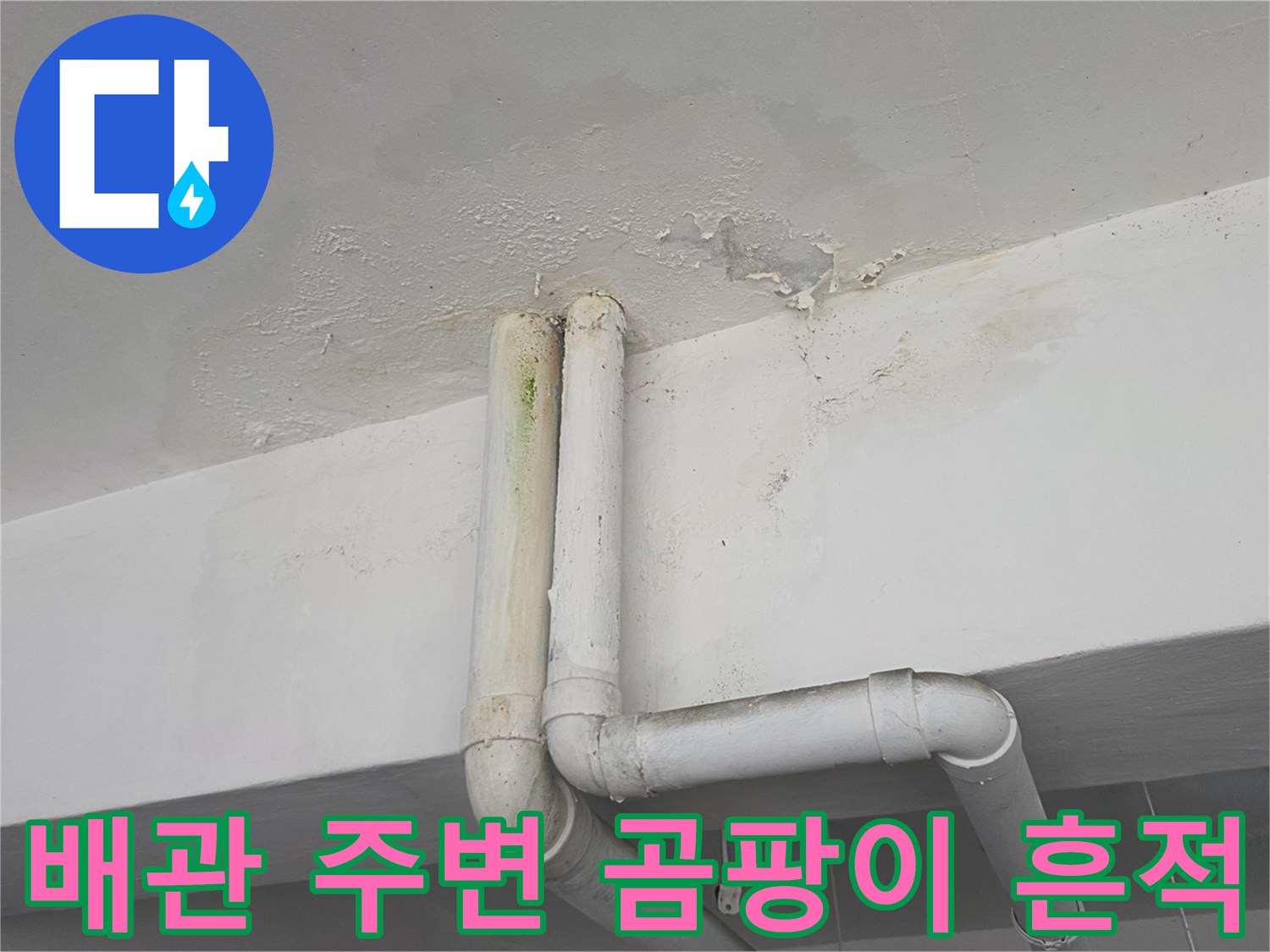 배관 연결부 근처-습기로 인한 변색과 곰팡이 흔적