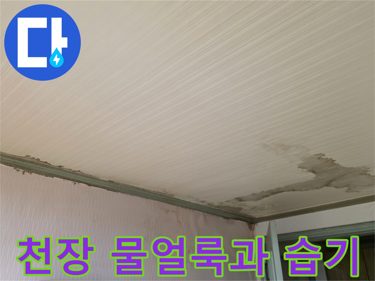성북구 정릉동 빌라 천장 부위의 심한 물얼ভাবে 및 벽면 젖음 현상