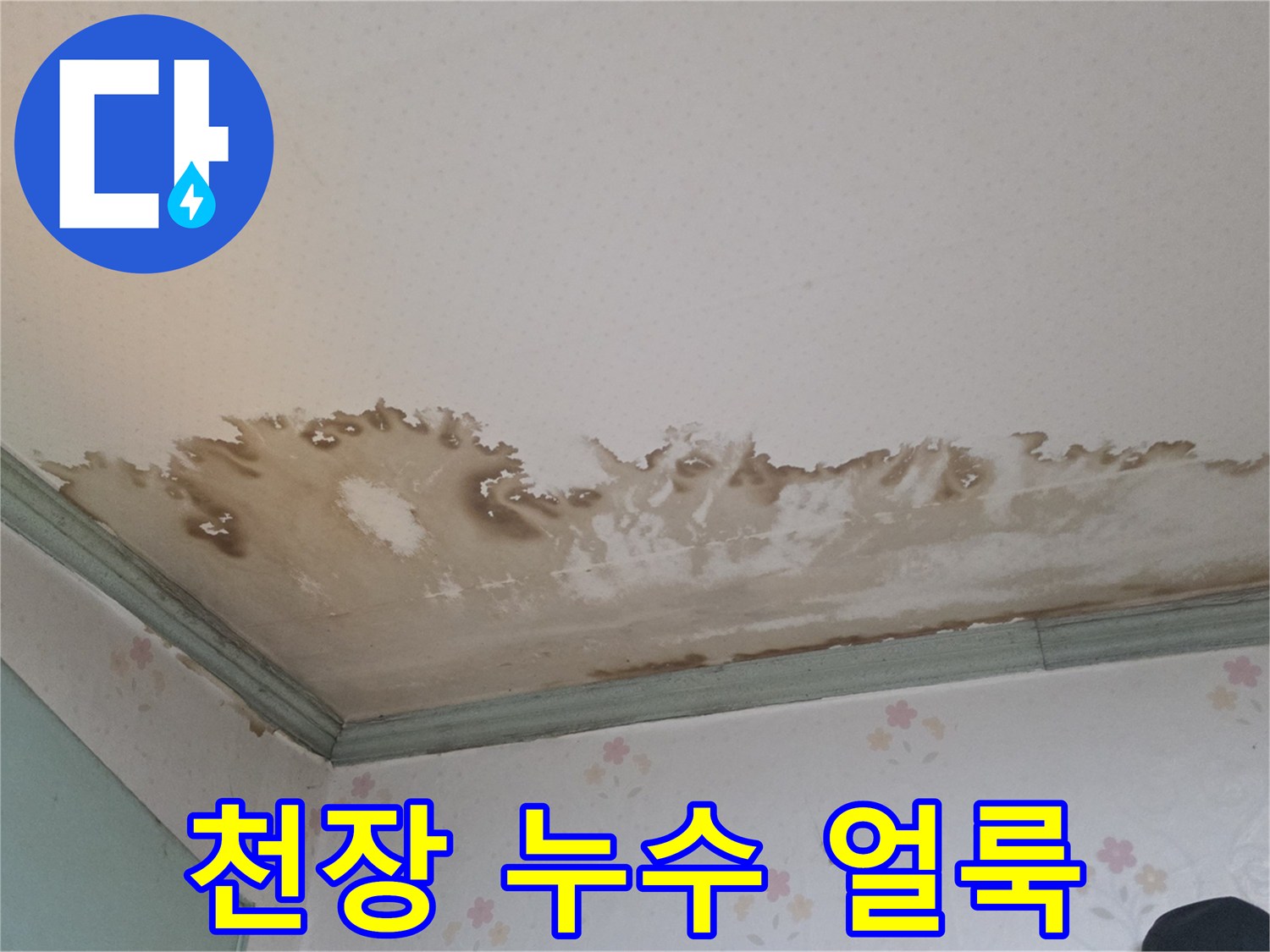 성북구-정릉동-아파트-천장-물자국-및-얼룩-상태
