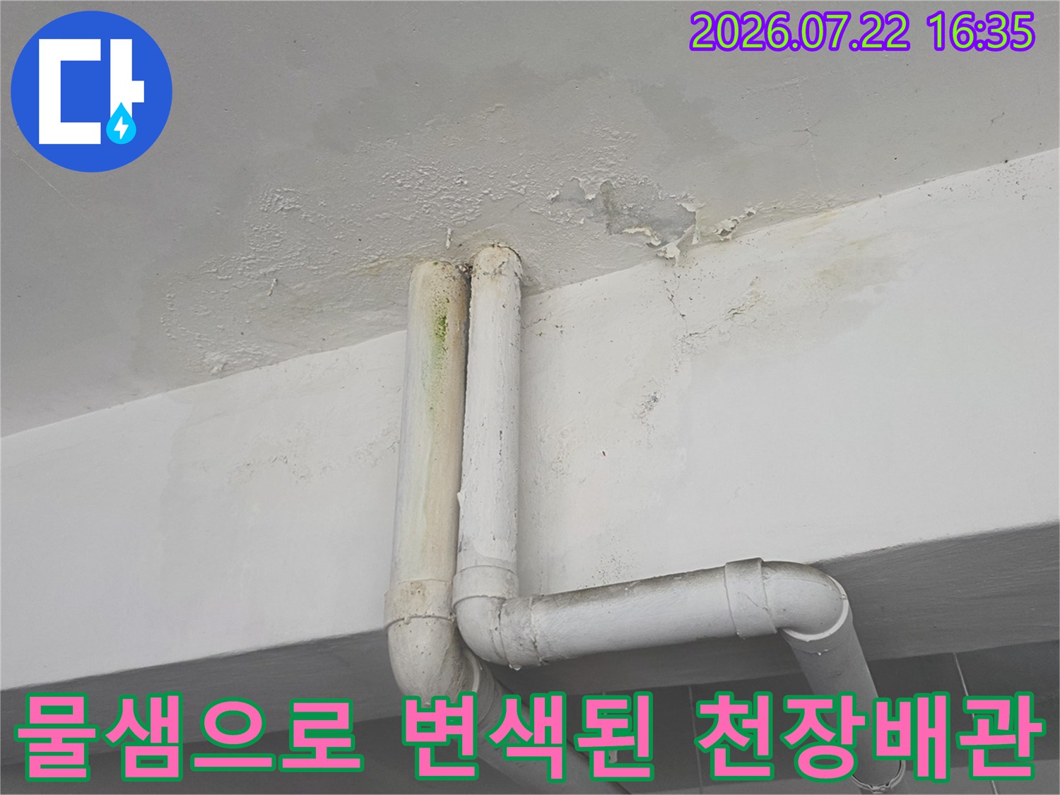천장에서 내려오는 흰색 플라스틱 배관과 그 주변으로 번진 누수 피해 얼룩-곰팡이 현상