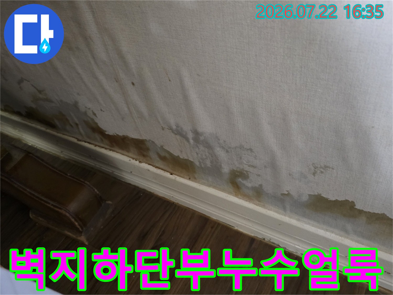 흰색 벽지 하단부가 누수로 인해 갈색으로 변색되고 곰팡이가 핀 모습