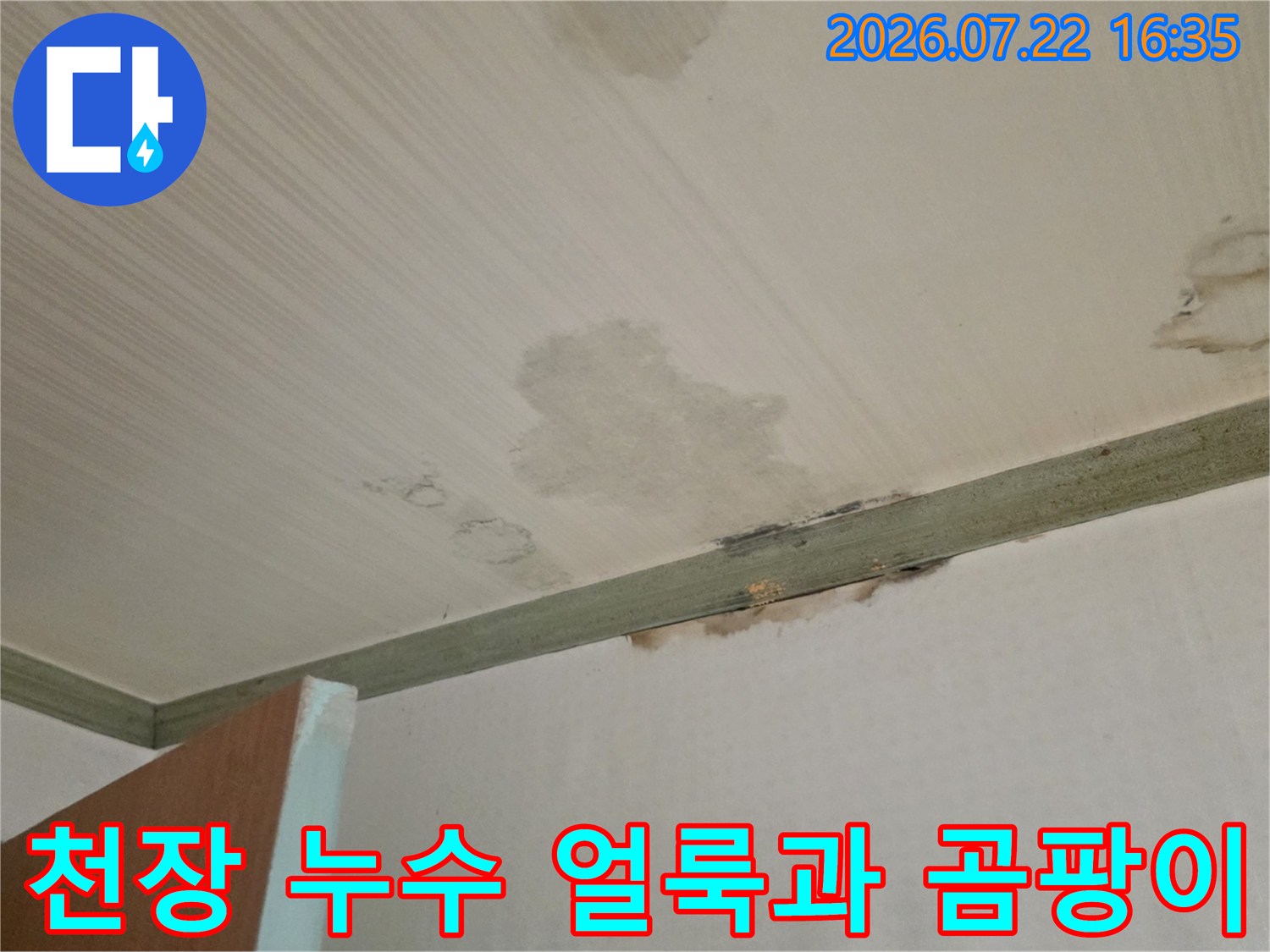 흰색 천장 마감재에 발생한 갈색의 누수 얼룩-곰팡이 피해 사진