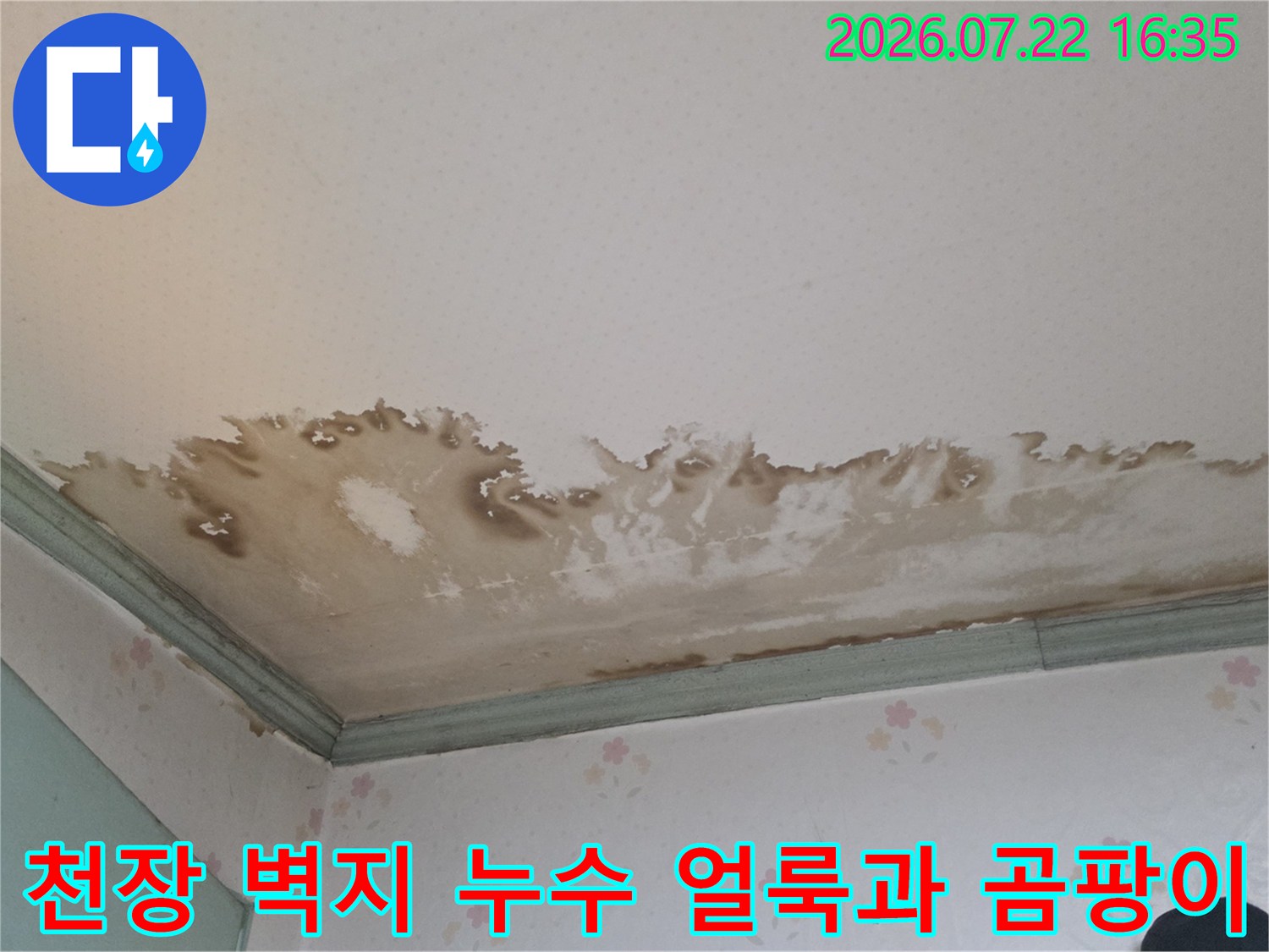 흰색 천장 벽지가 물에 젖어 갈색으로 변색되고 곰팡이가 피어 있는 모습