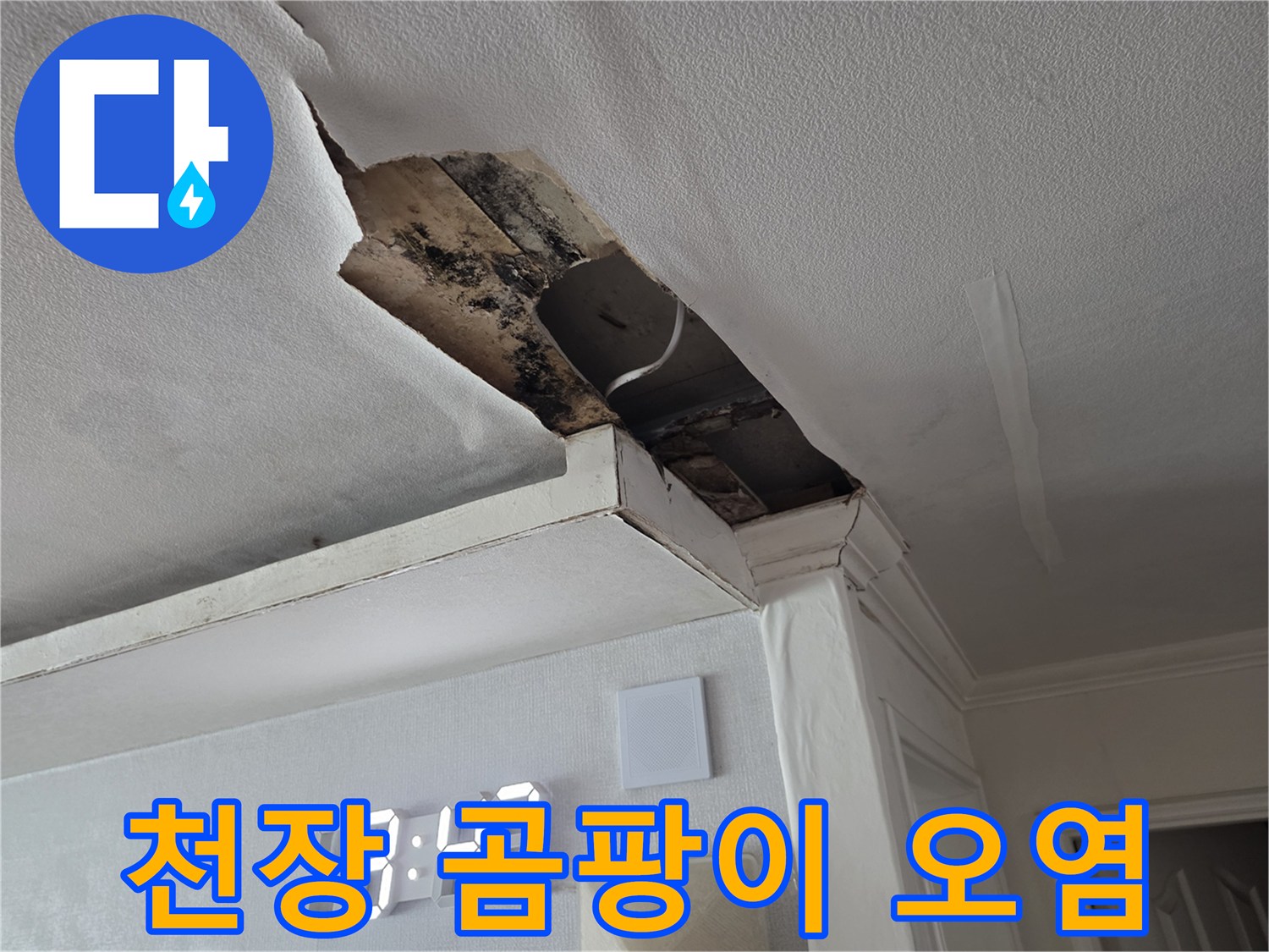 누수로 인해 변색되고 훼손된 천장 마감재 내부 모습