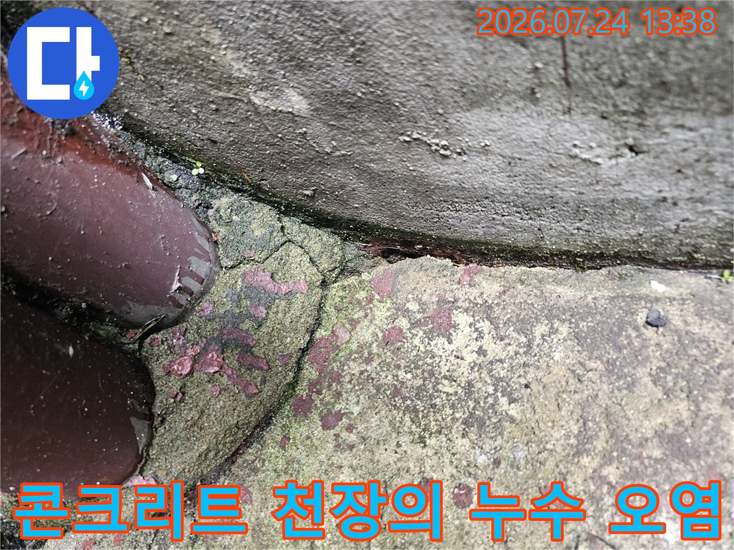 붉은-얼룩과-미세-균열이-나타난-빌라-반지하층-천장-표면
