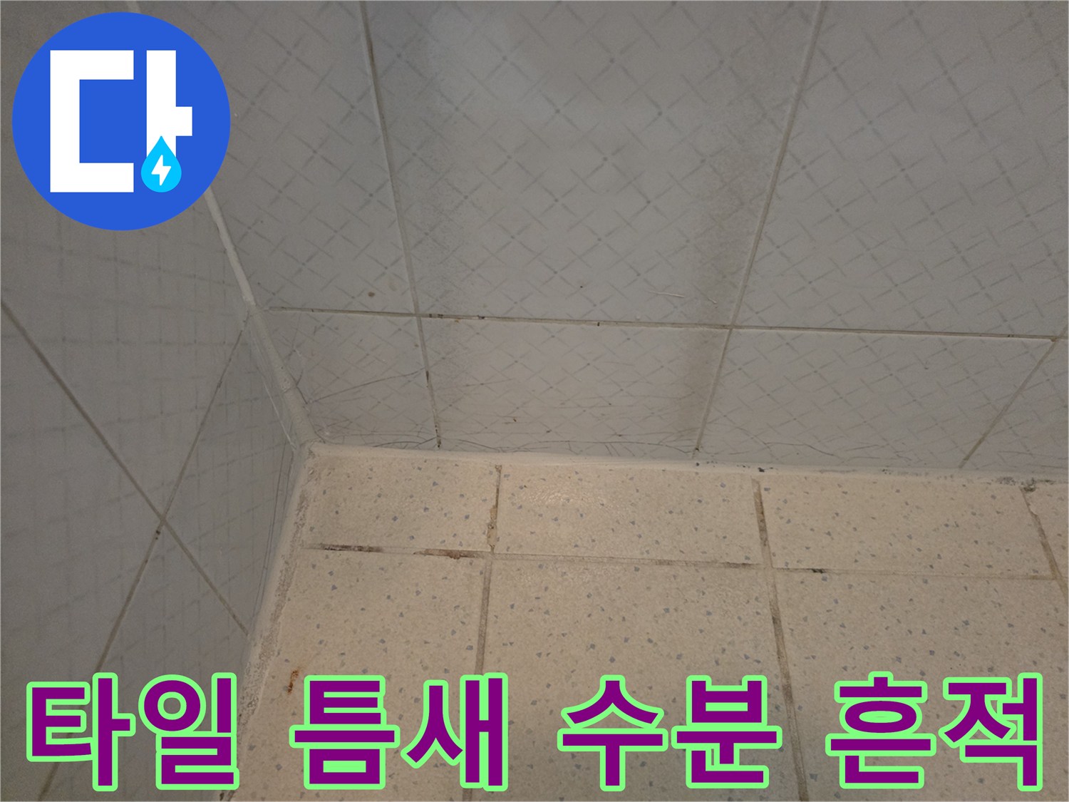 습기가 스며든 타일 경계-누수 진행 확인