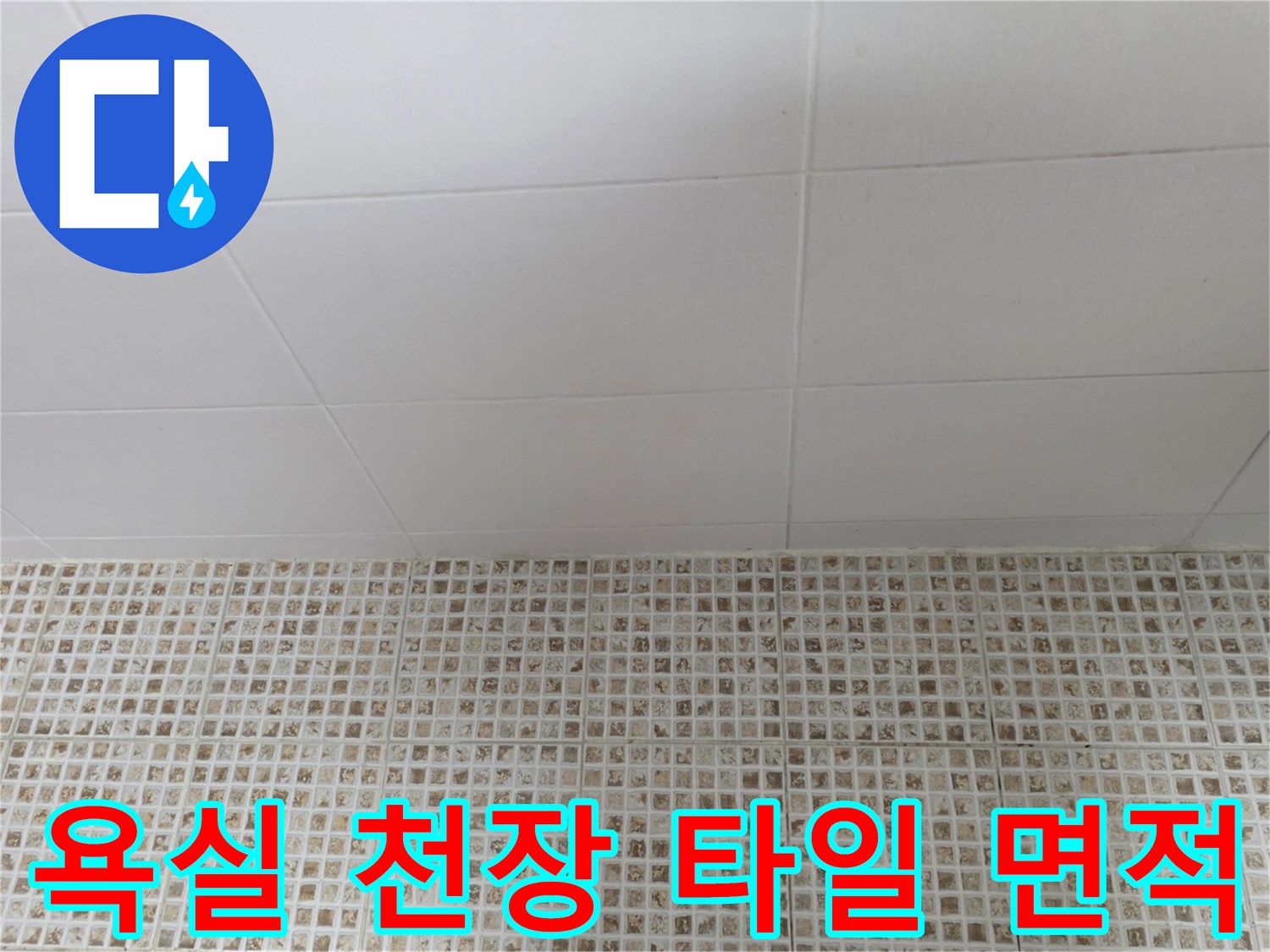 격자 모양으로 배치된 욕실 천장 타일의 근접 사진입니다.